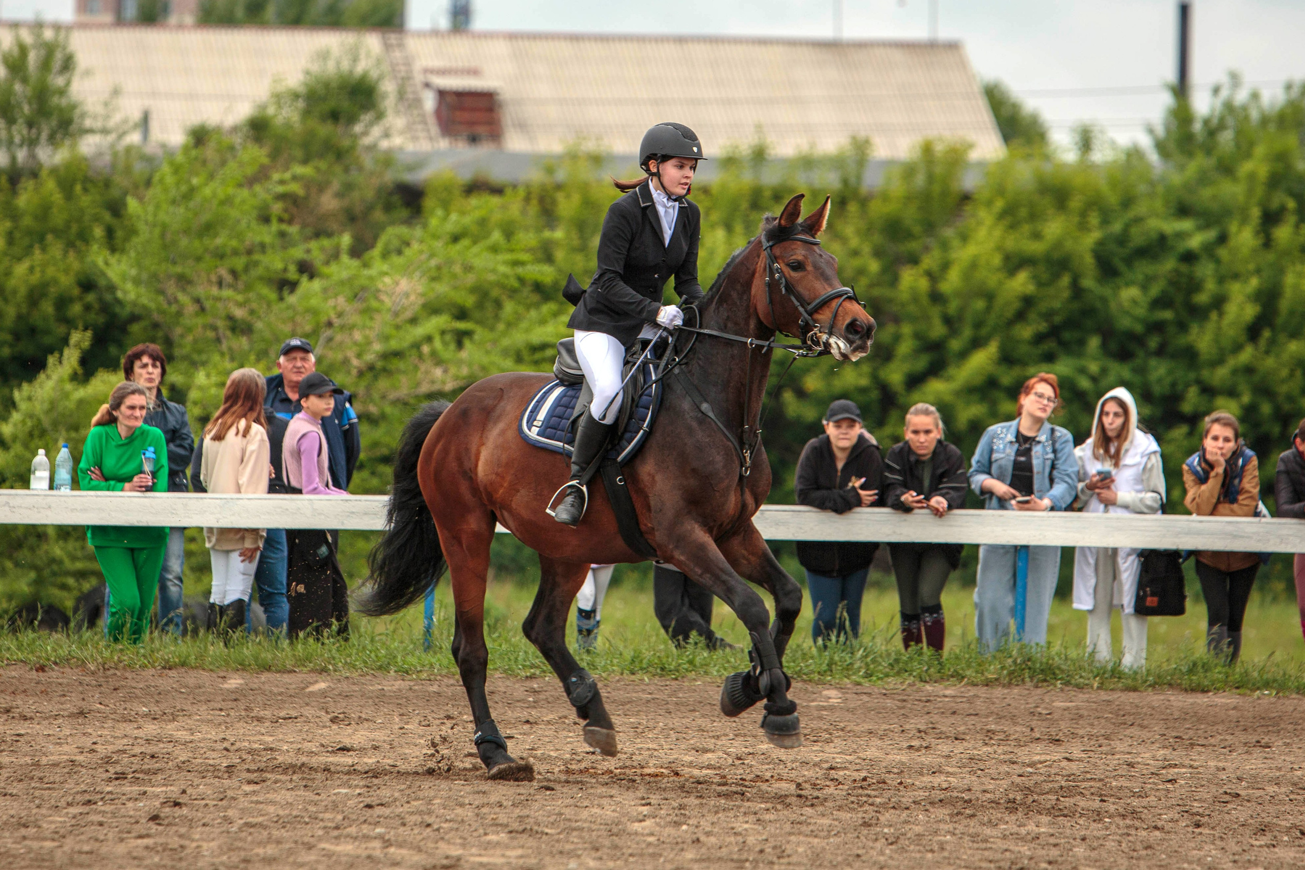 2024. Конный фотограф в Красноярске — Любовь Похабова