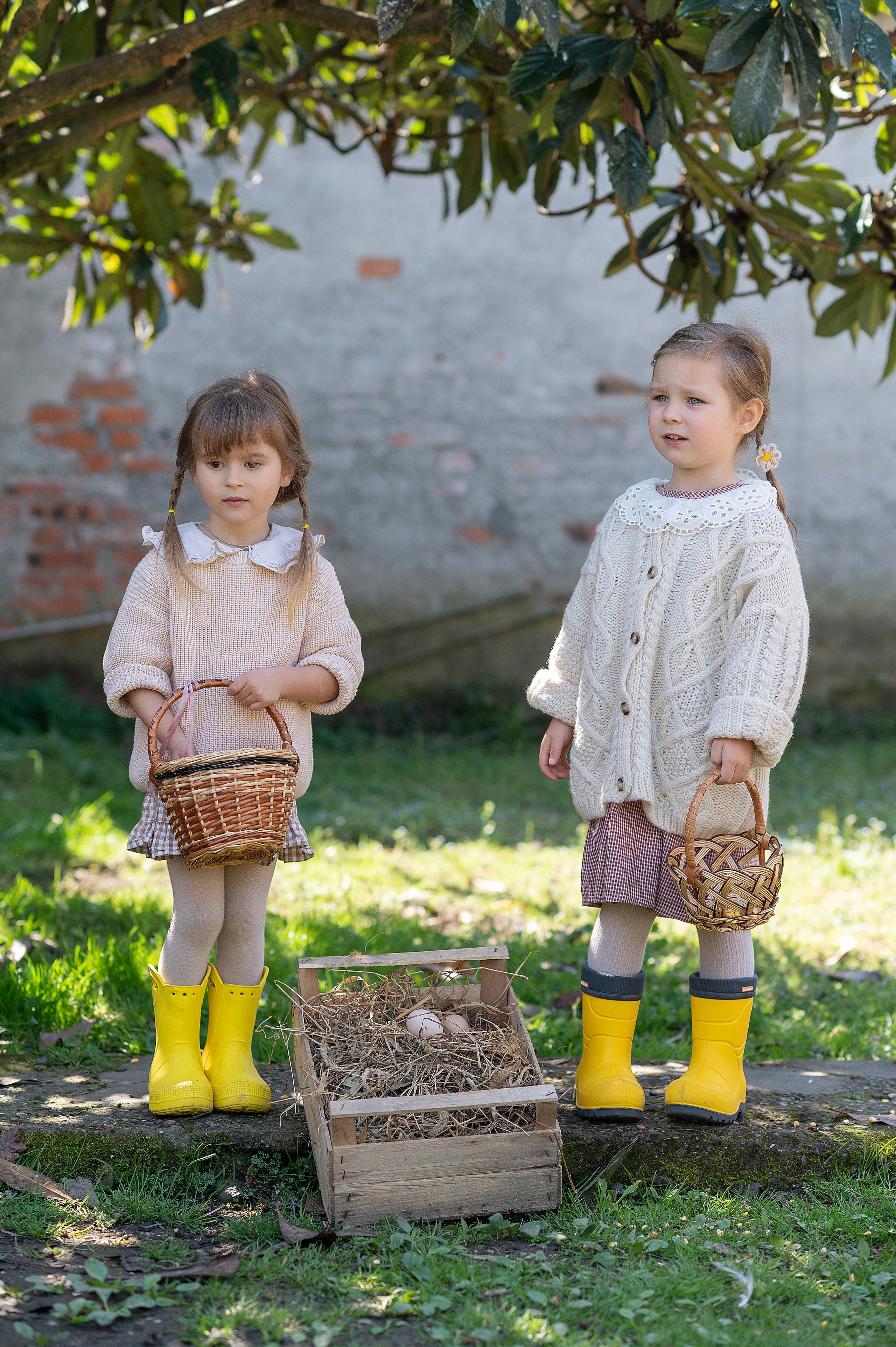 Курочки. Детский фотограф Абхазия