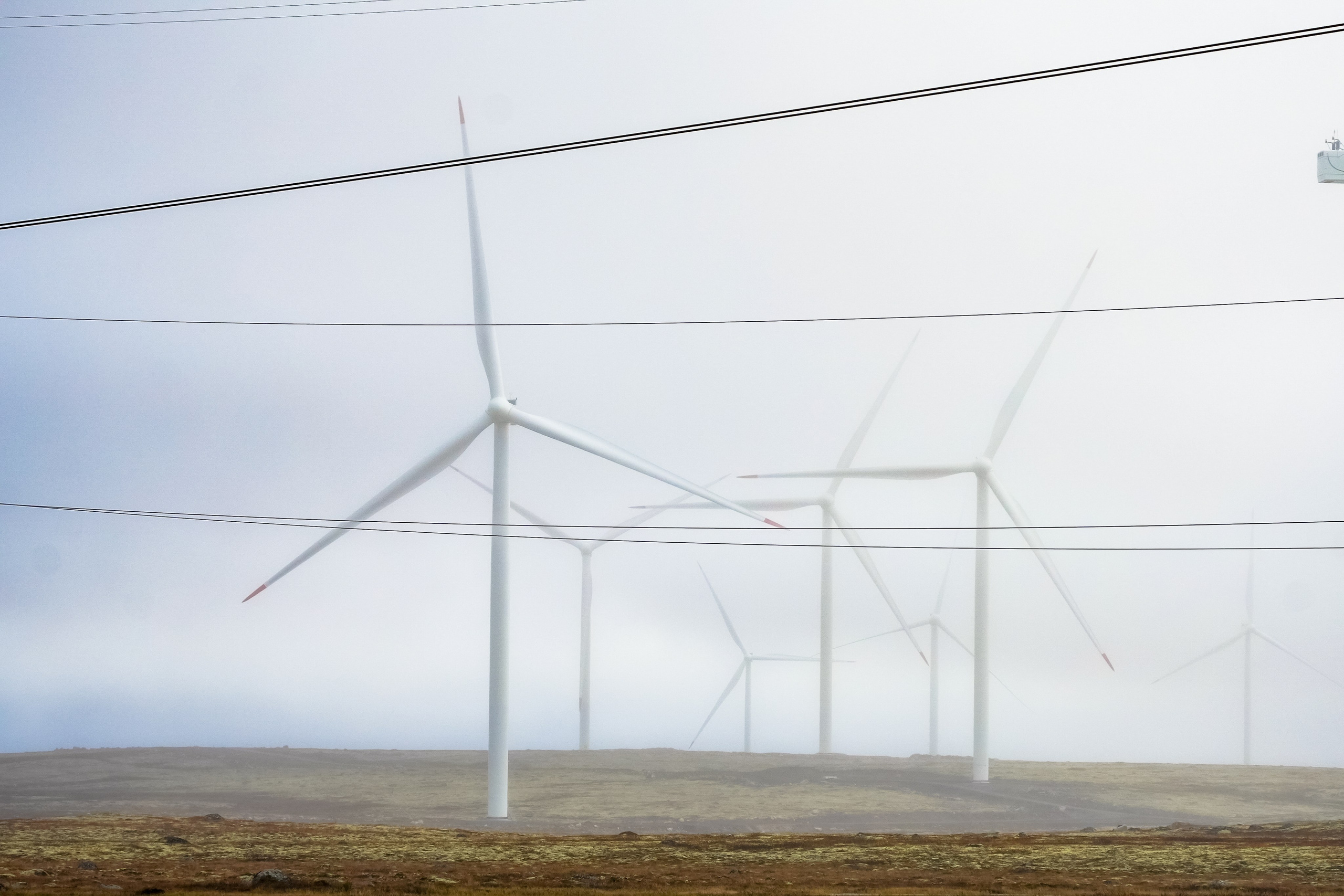 СЕВЕР. Event фотограф Степанова Александра