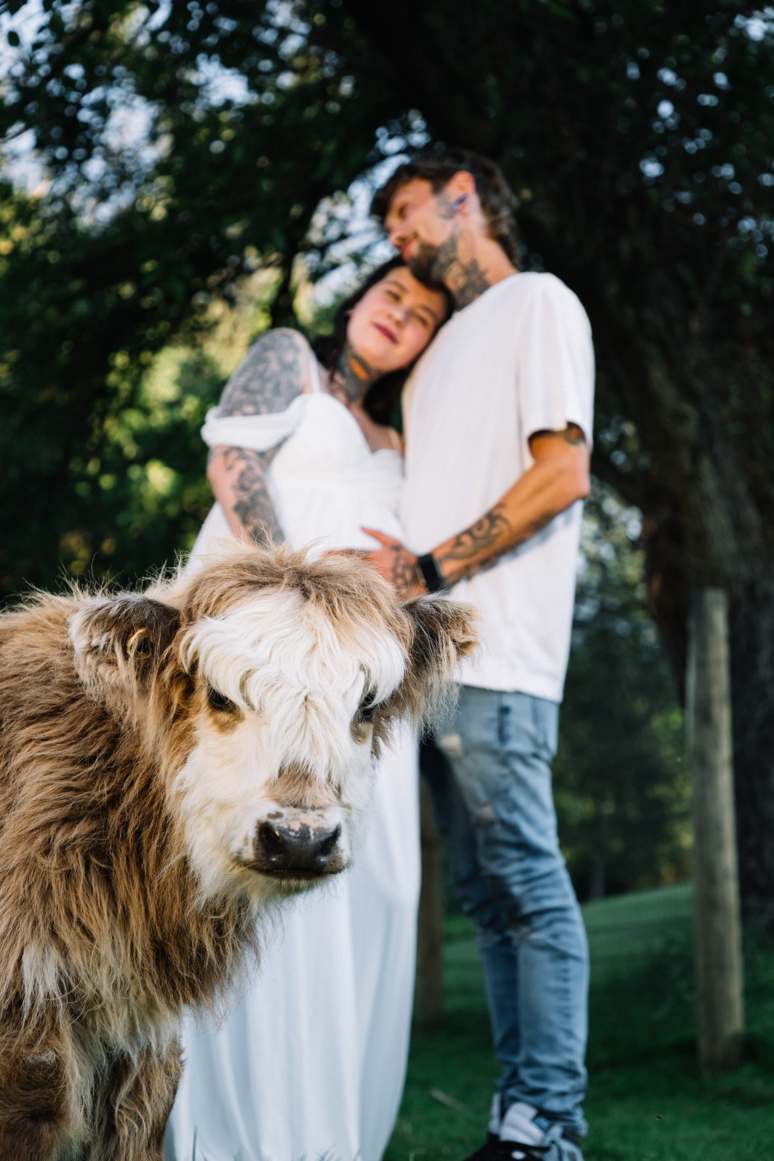 Maternity. Family photographer in Eastern Pennsylvania, Inna Nairn