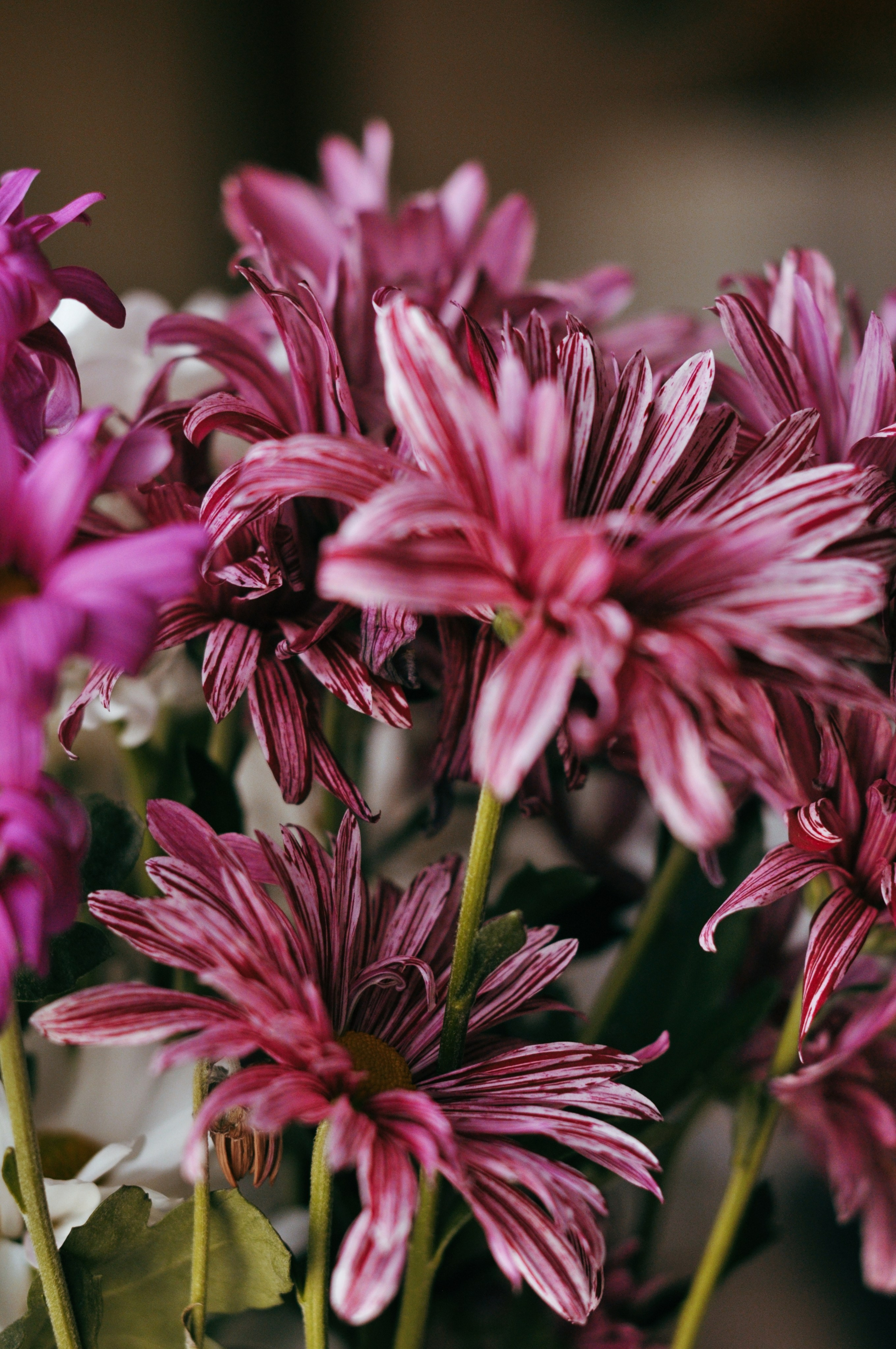 Landscape фото. Фотограф и художник Kerry Moore