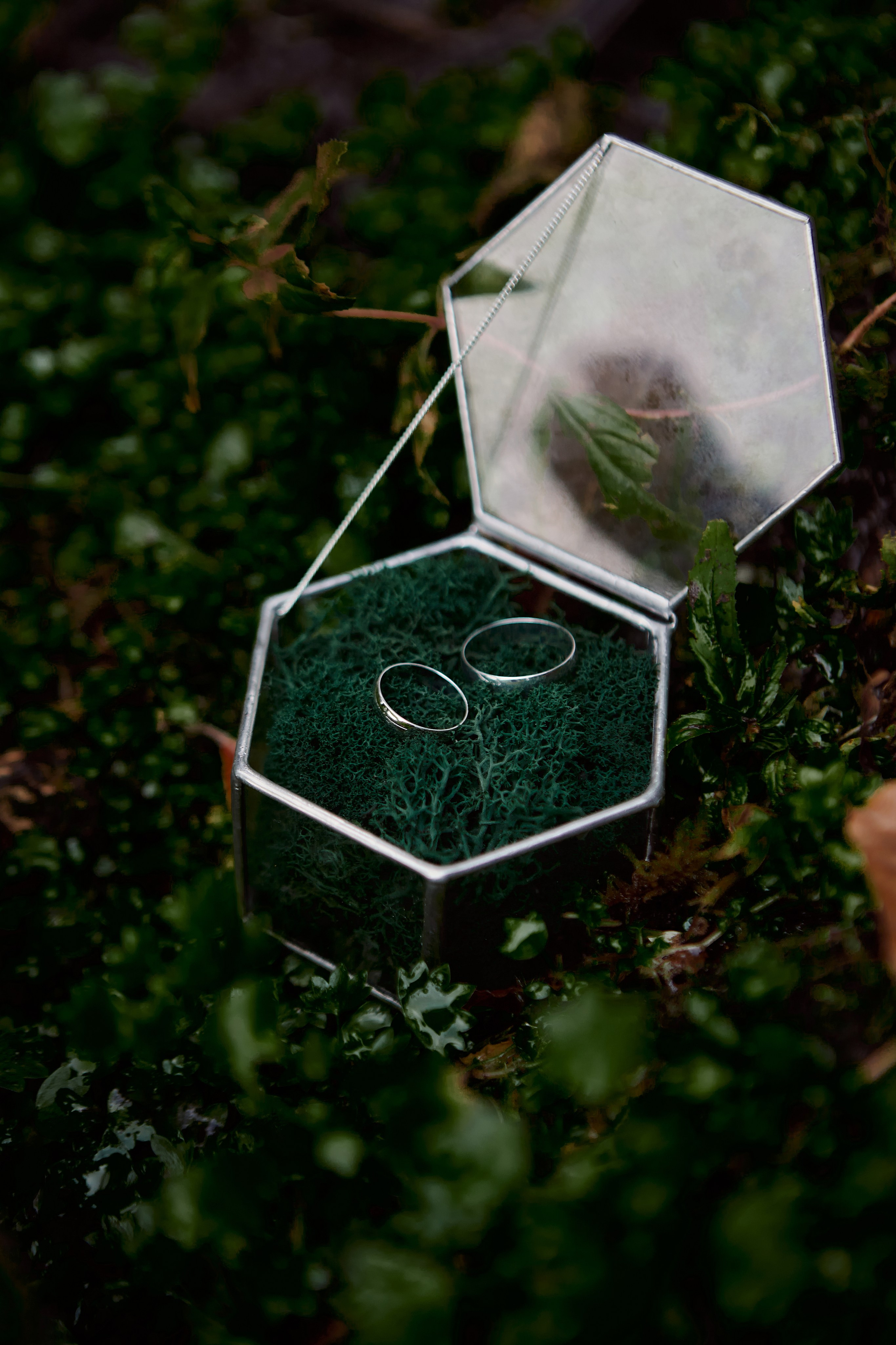 Фотограф Сочи фотограф в Сочи фотосессия в Сочи фотосессия Сочи фотосессия Красная поляна фотограф Красная поляна Фотограф Адлер Визажист Сочи Визажист в Сочи свадьба в Сочи рестораны Сочи девушки укладка макияж мейк  сочи рестораны путешествия wedding in the mountains Новогодние фотосессии семейная фотосессия на море лошади конные прогулки в Сочи. Фотосессия с лошадью. Фотосессия в горах. Крещение фотограф Сочи. выписка из роддома сочи. Репортажная съёмка Сочи. Фотограф день рождения Сочи. Женский портрет. Детская фотосессия Сочи. Свадебный фотограф Сочи невеста жених