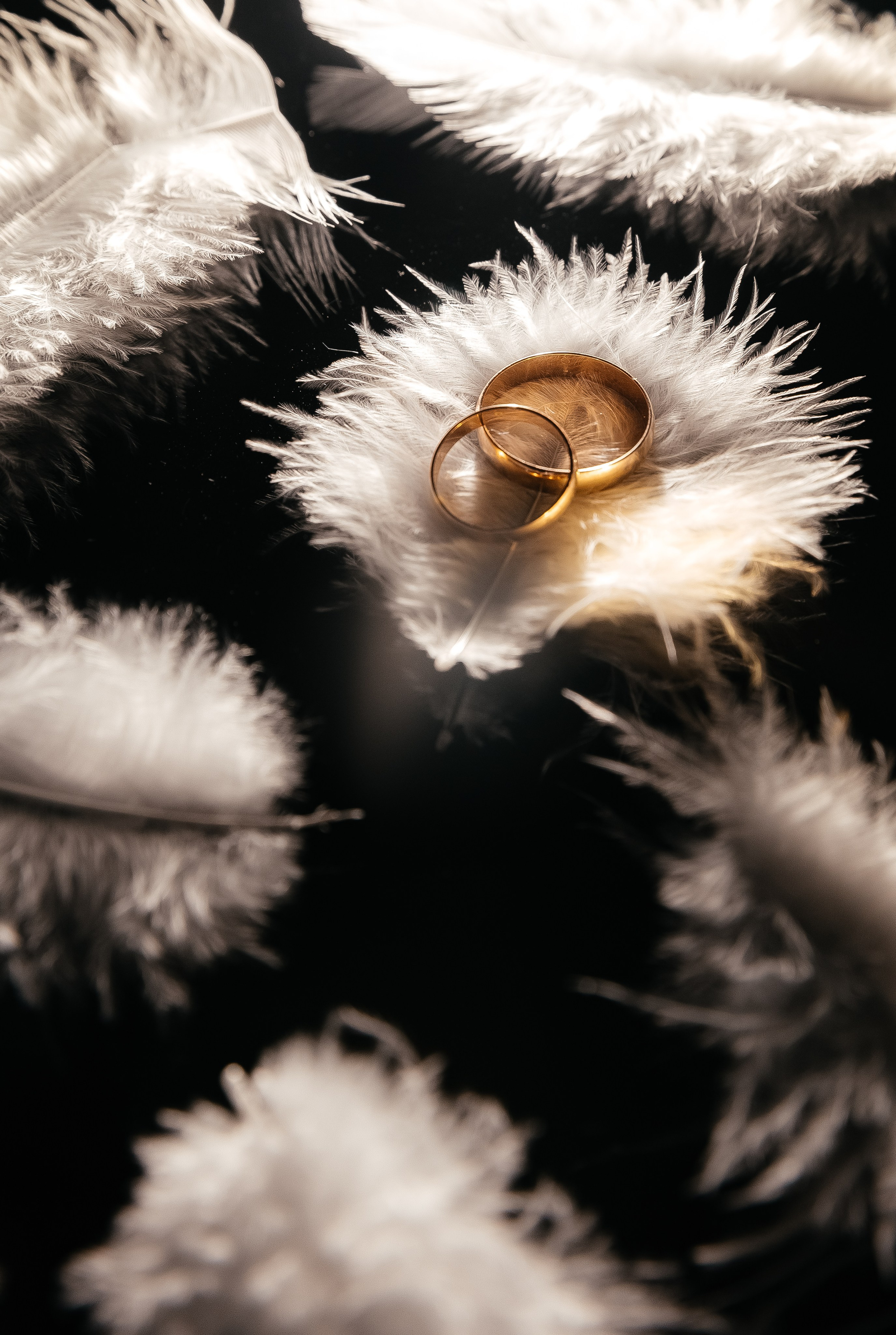 Дмитрий и Лейла. Свадебный и семейный фотограф в Таганроге и Ростове Руднева Анастасия