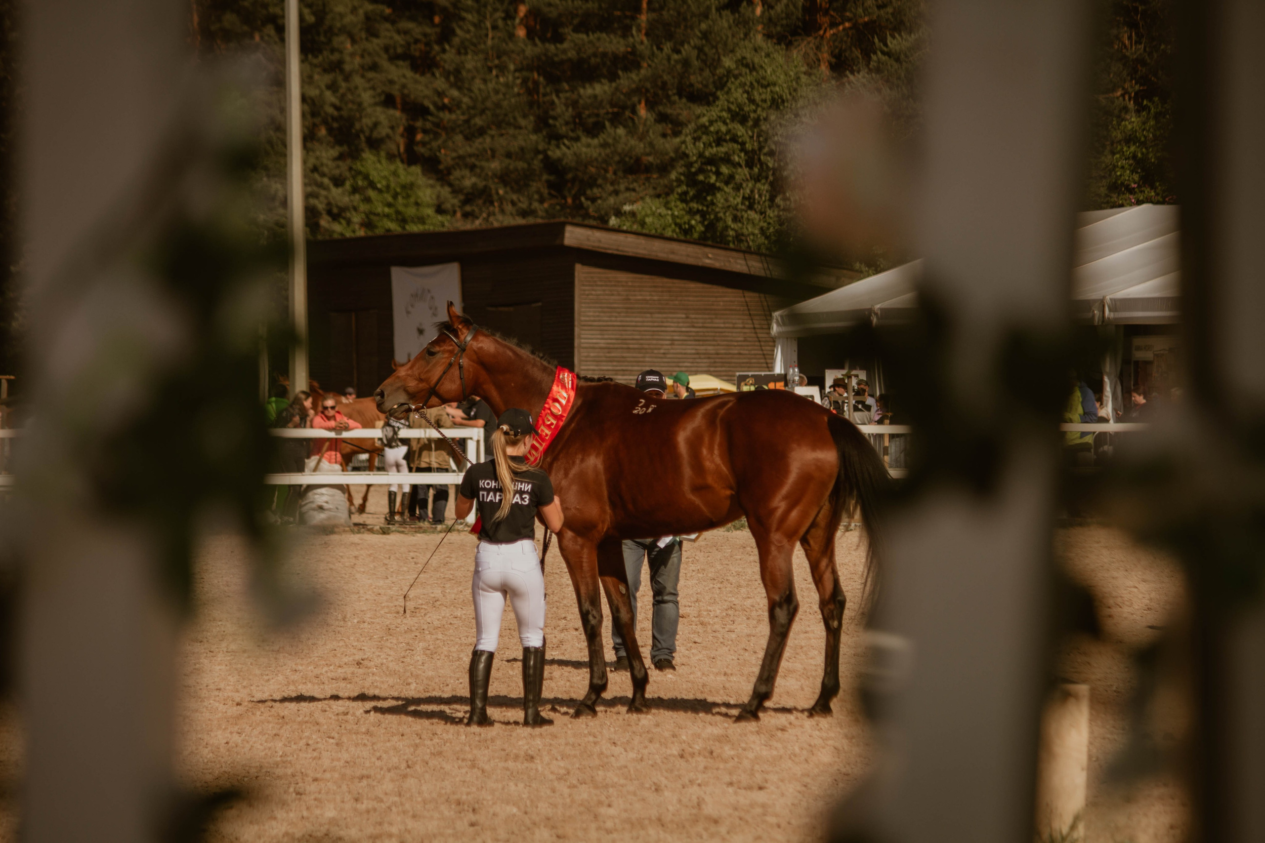 ИППОСФЕРА — Международная конная выставка. Создадим шедевр? Виталина и её фотоискусство