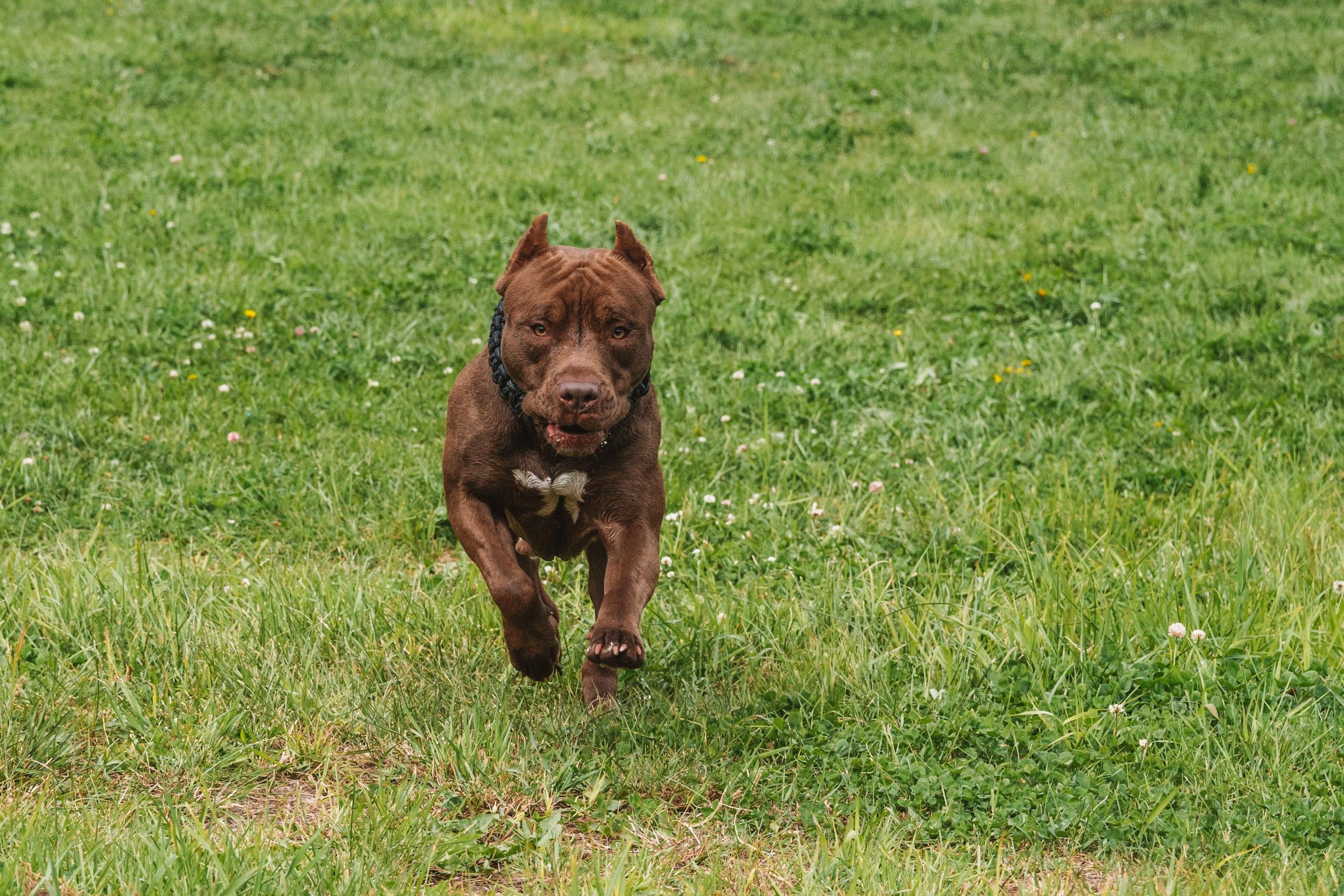 Лав стори фотограф Санкт-Петербург. Свадебный, семейный, портретный, репортажный фотограф в Санкт-Петербурге
