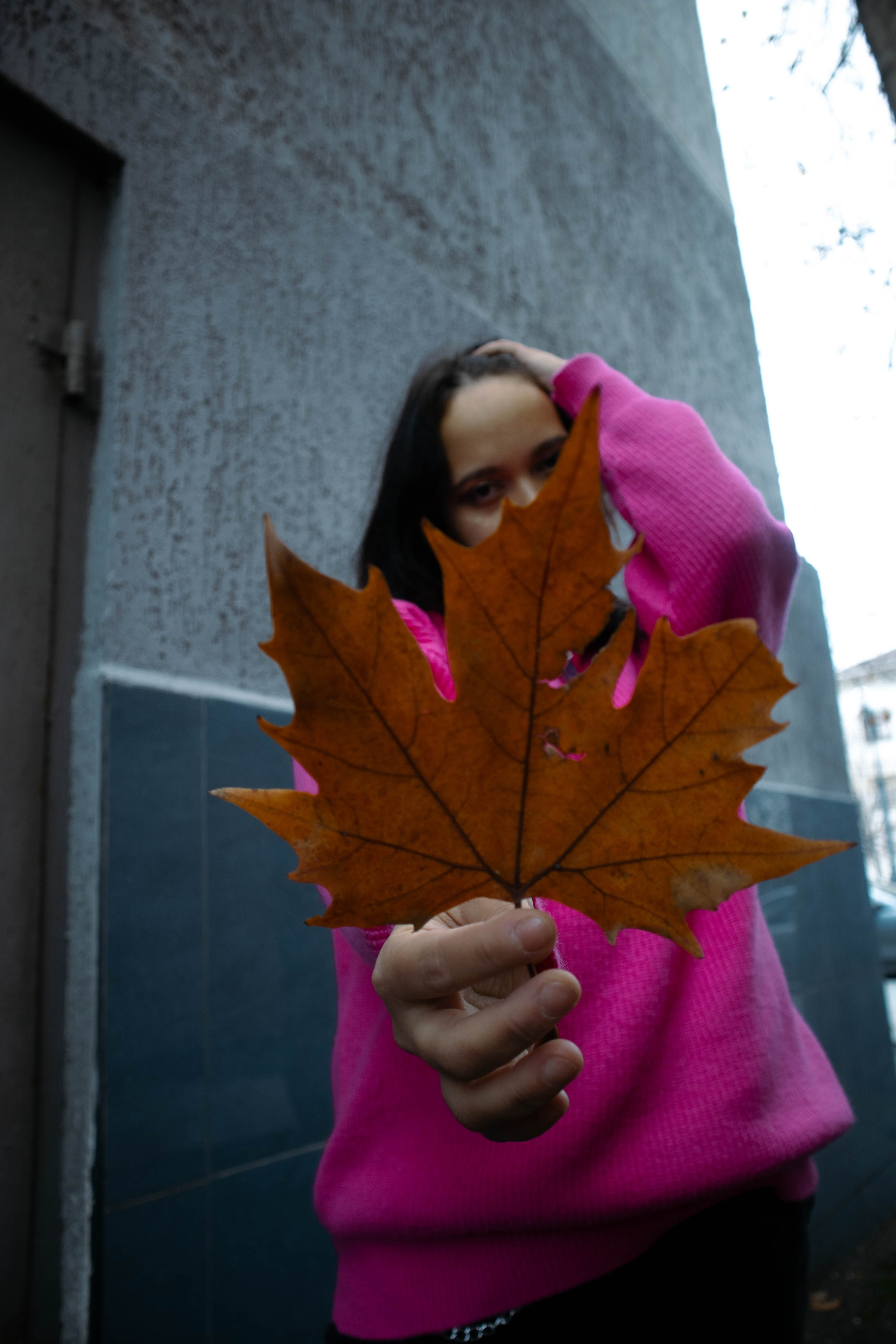«Городская грация: осенний вальс». Уличный фотограф Города N