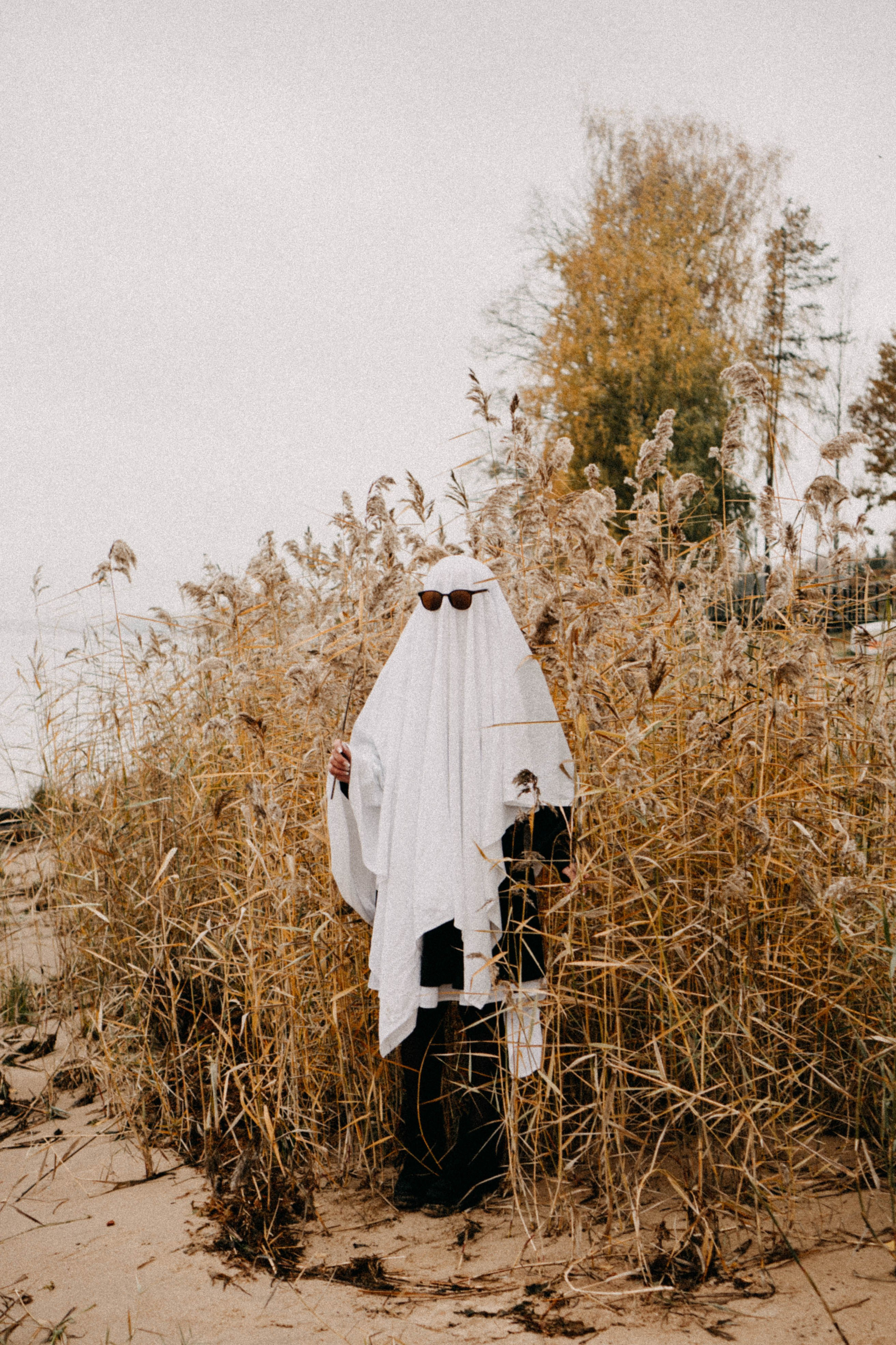 Осеняя. Профессиональный фотограф, Санкт-Петербург — Виктория Богомолова