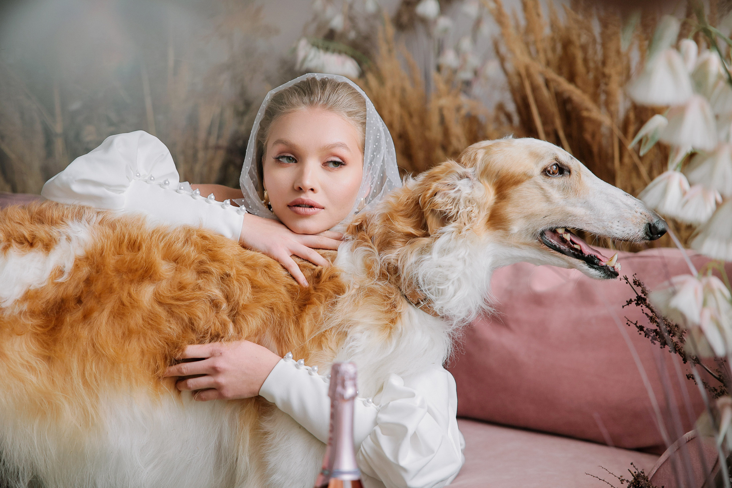Борзое утро. Фотограф Юрий Клим | Москва
