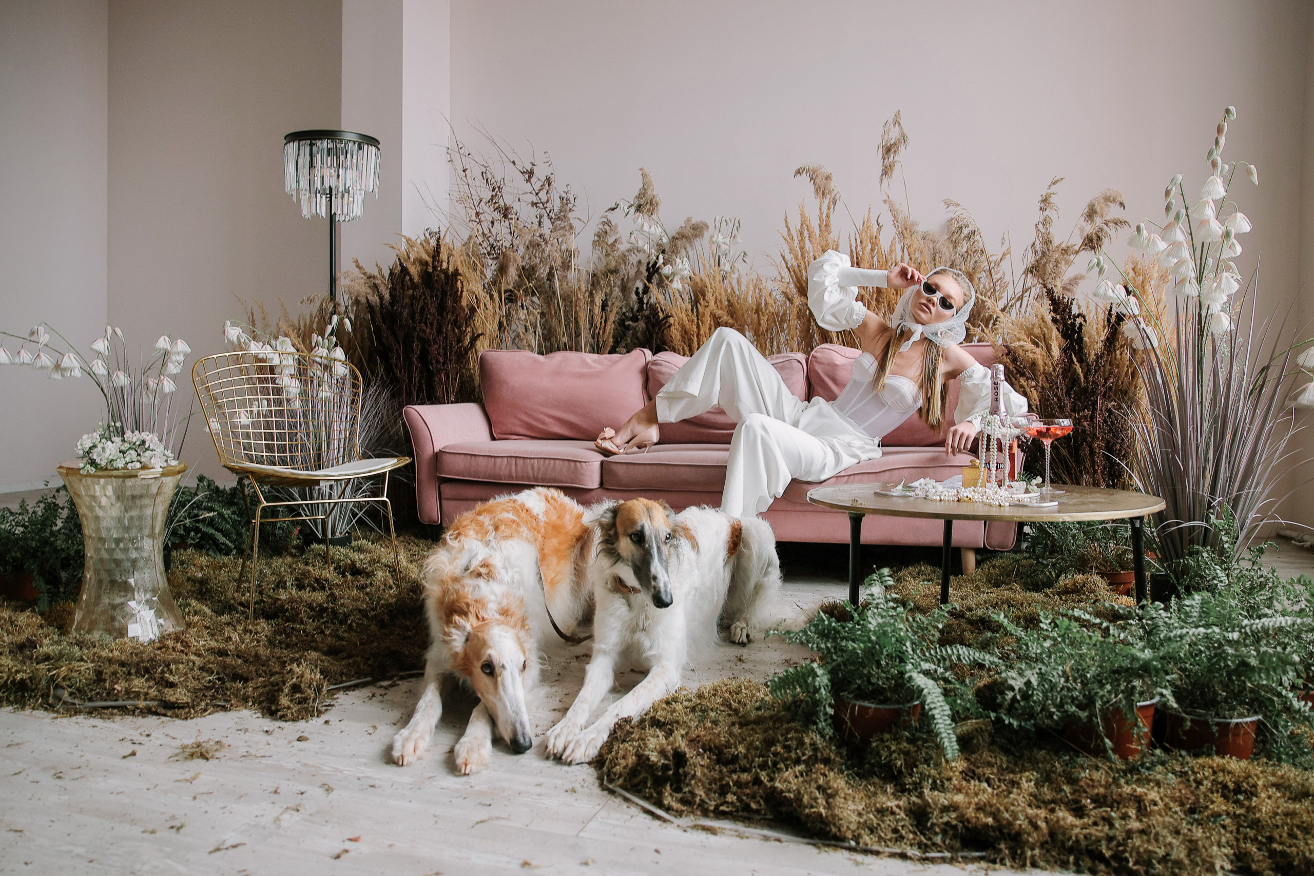 Борзое утро. Фотограф Юрий Клим | Москва