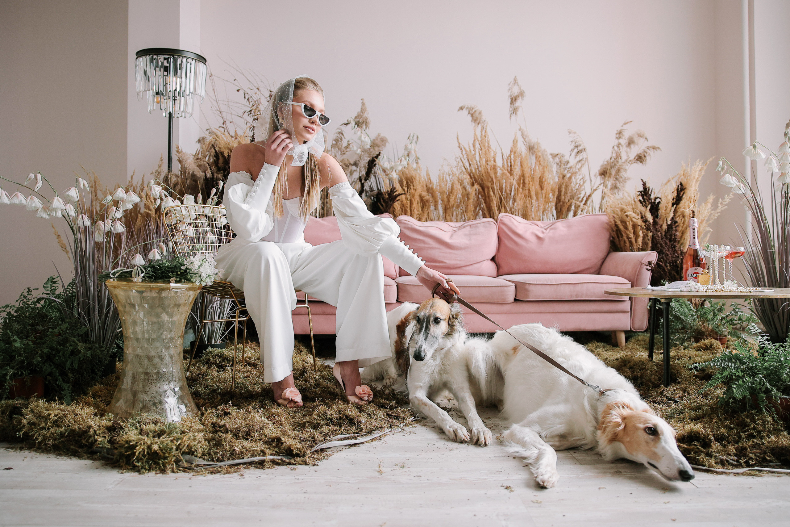 Борзое утро. Фотограф Юрий Клим | Москва