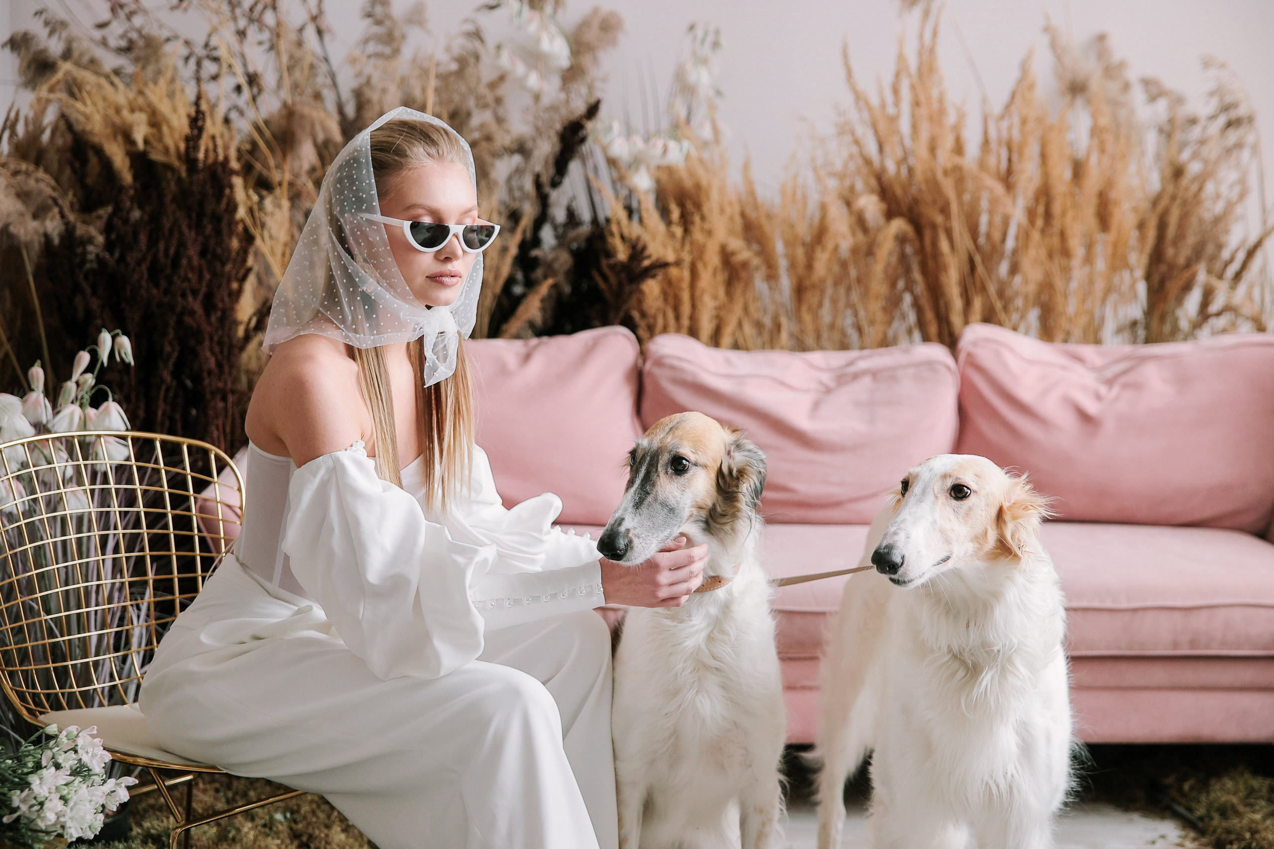 Борзое утро. Фотограф Юрий Клим | Москва