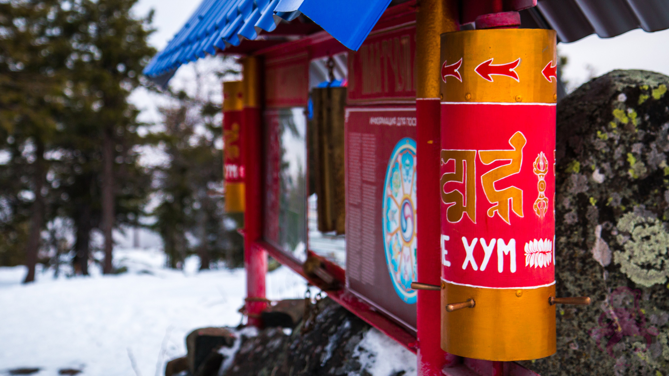 Буддистский монастырь Шад Тчуп Линг. Предметный и репортажный фотограф Алексей Кротов