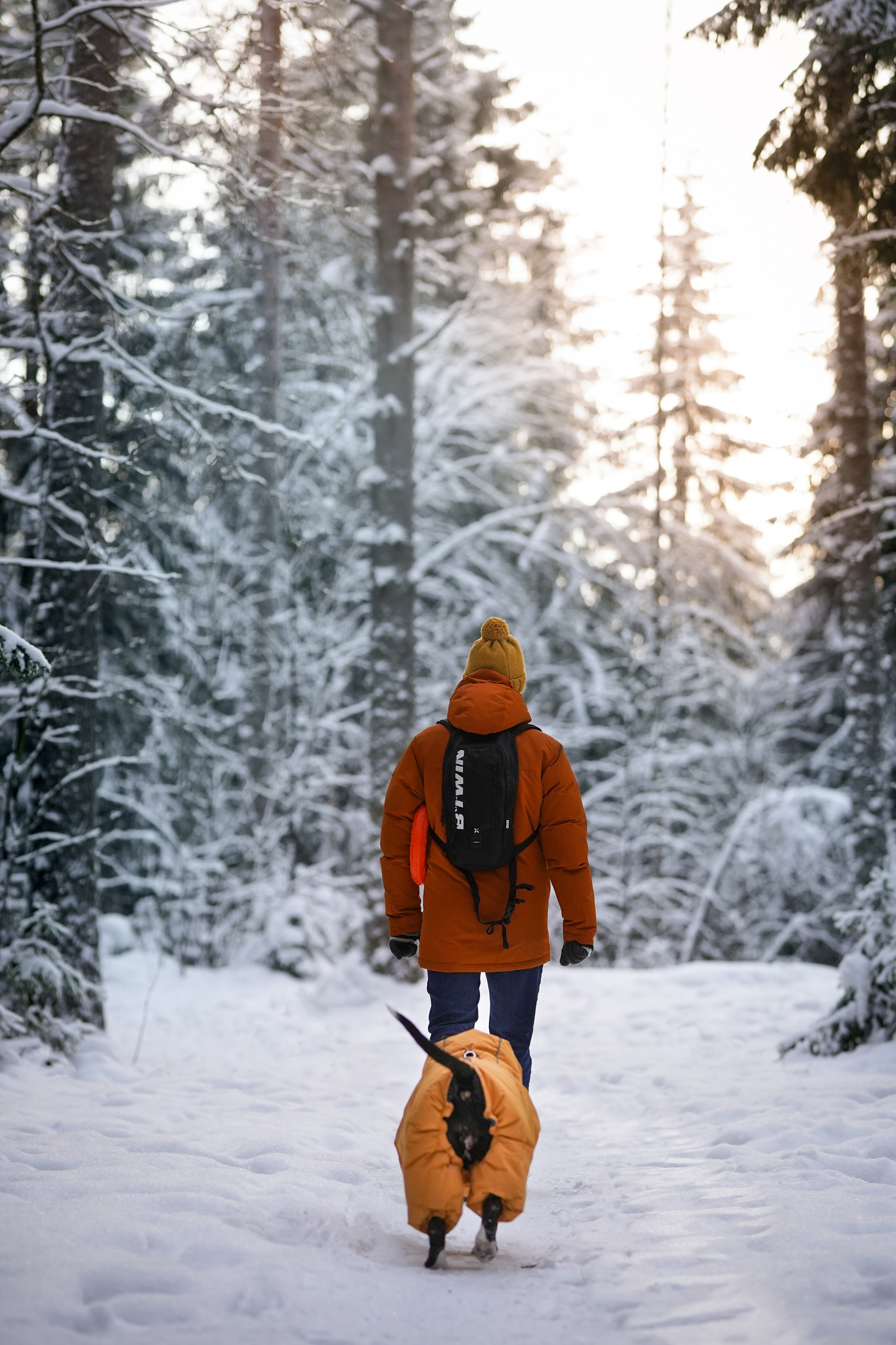 Маша Женя и Фиона. Фотограф-анималист в Санкт-Петербурге Яна Мартынова