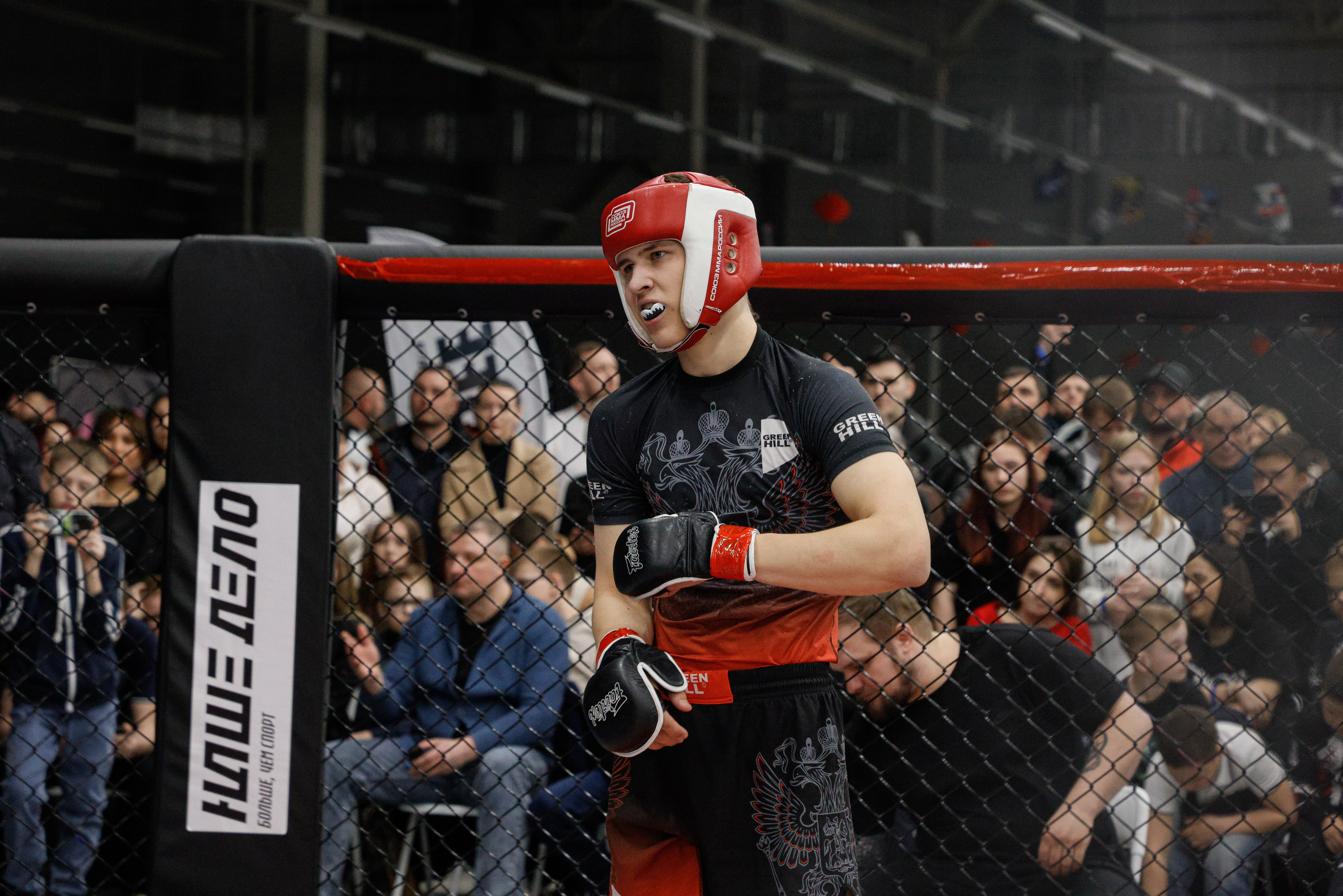 ММА Автолегион 2026. Фотограф в Новосибирске Александр Иванов