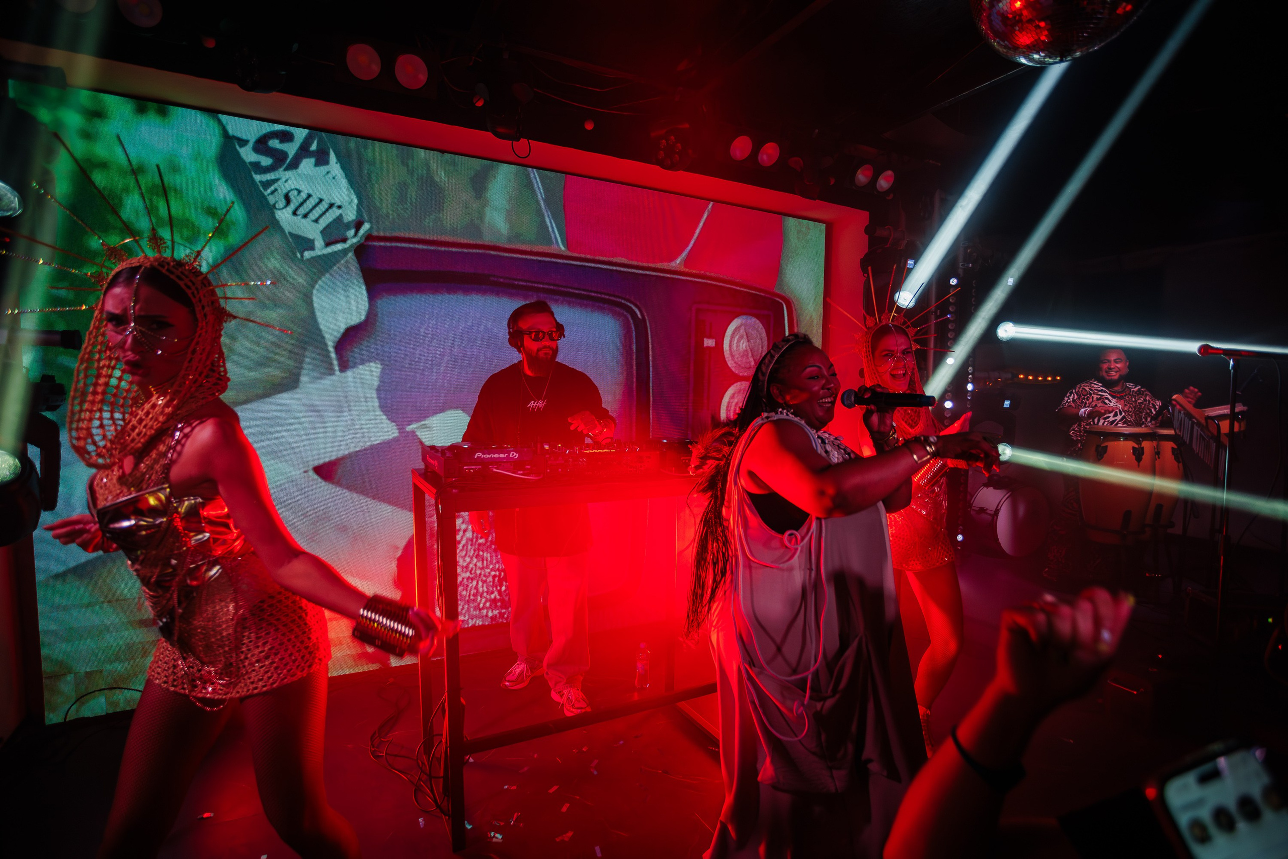 «LIZWI"_Чайка на пляже_Ялта_7.06.2025. Аминов Руслан | Фотограф