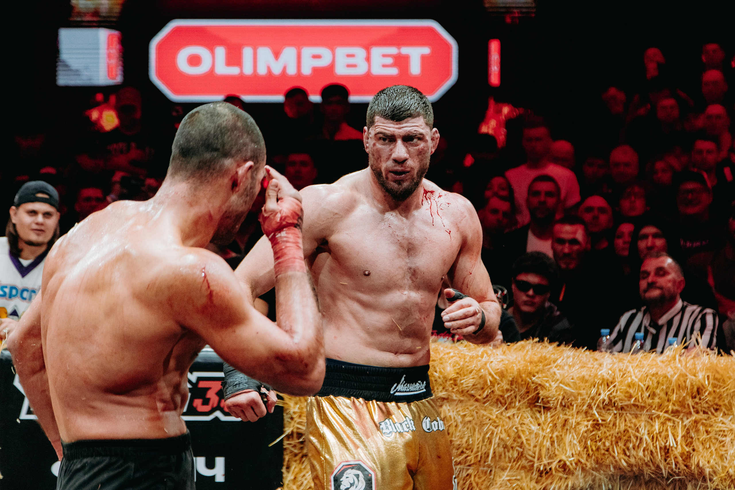 TOPDOG — 32. Фотограф в Саратове Александр Кухаренко. И не только в Саратове :)