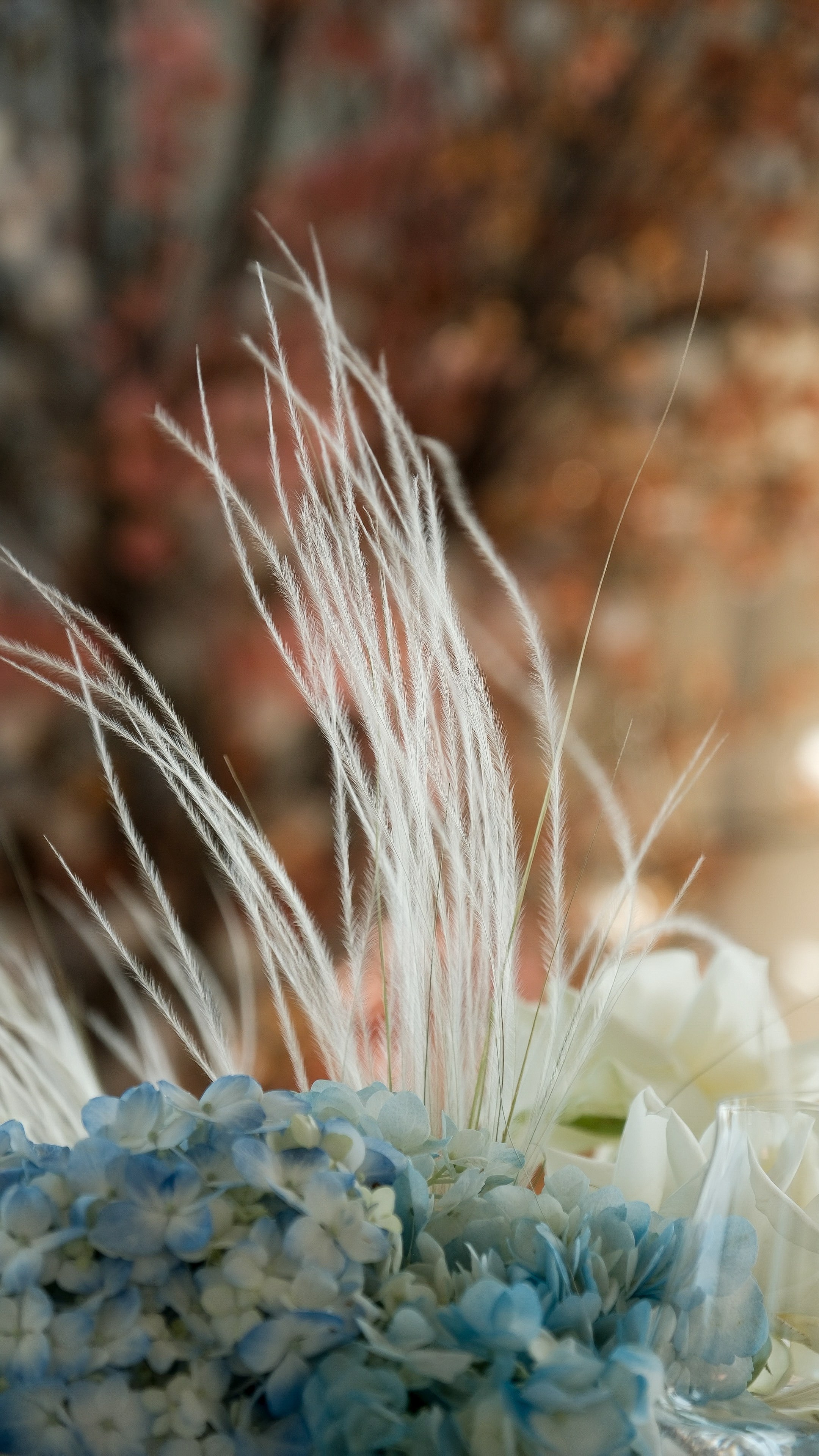 Морской. Свадебный Видеограф Фотограф в Сочи