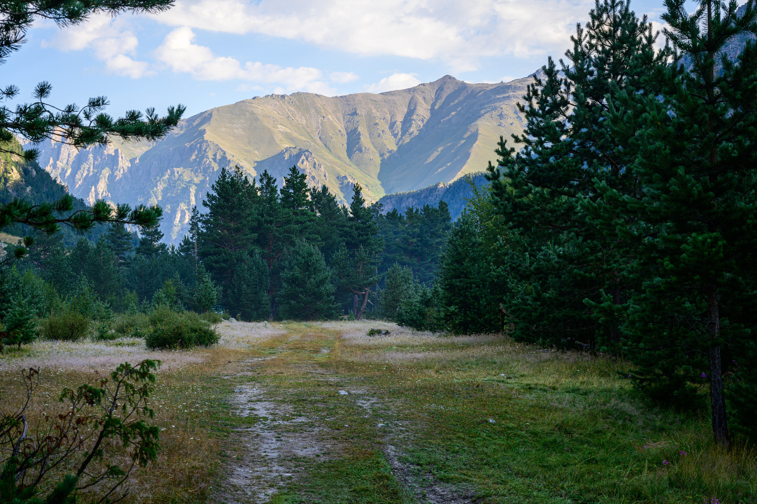 Экспедиция 2025