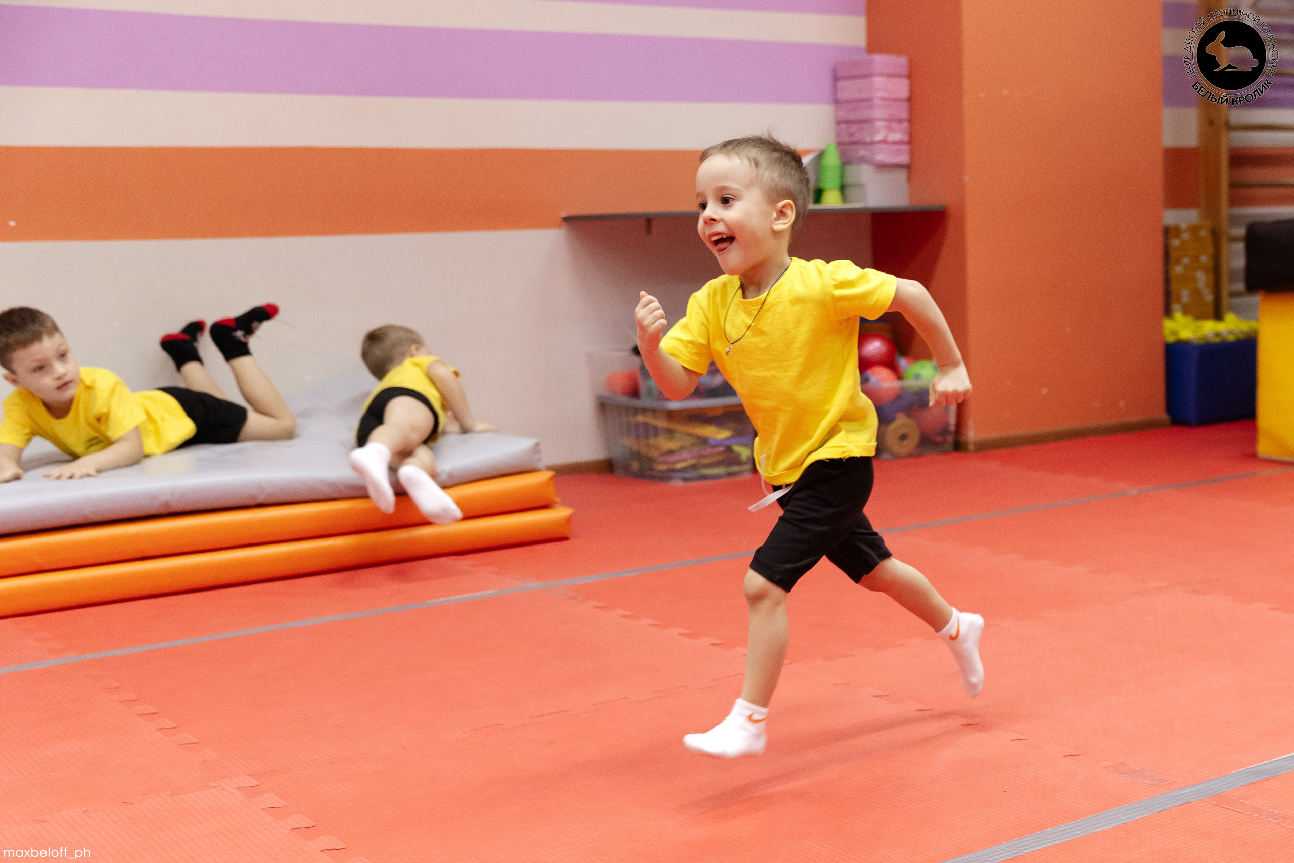 Белый кролик. Соревнования. Семейный фотограф — Макс Белогрудов