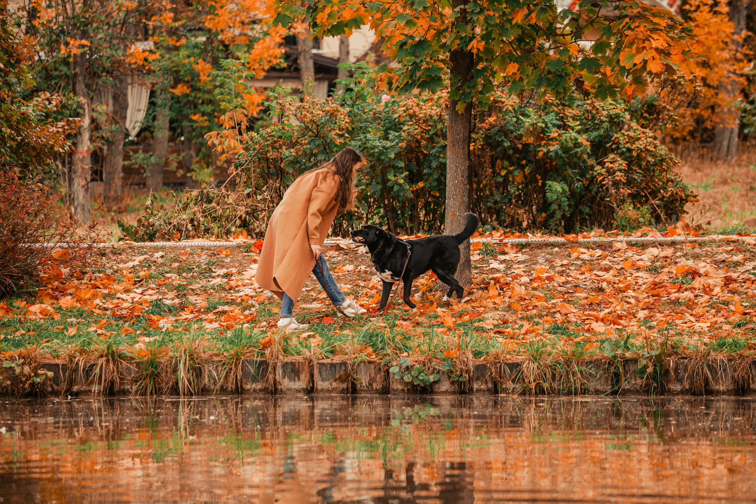Юля и Фортуна. Фотограф-анималист Татьяна Степанова