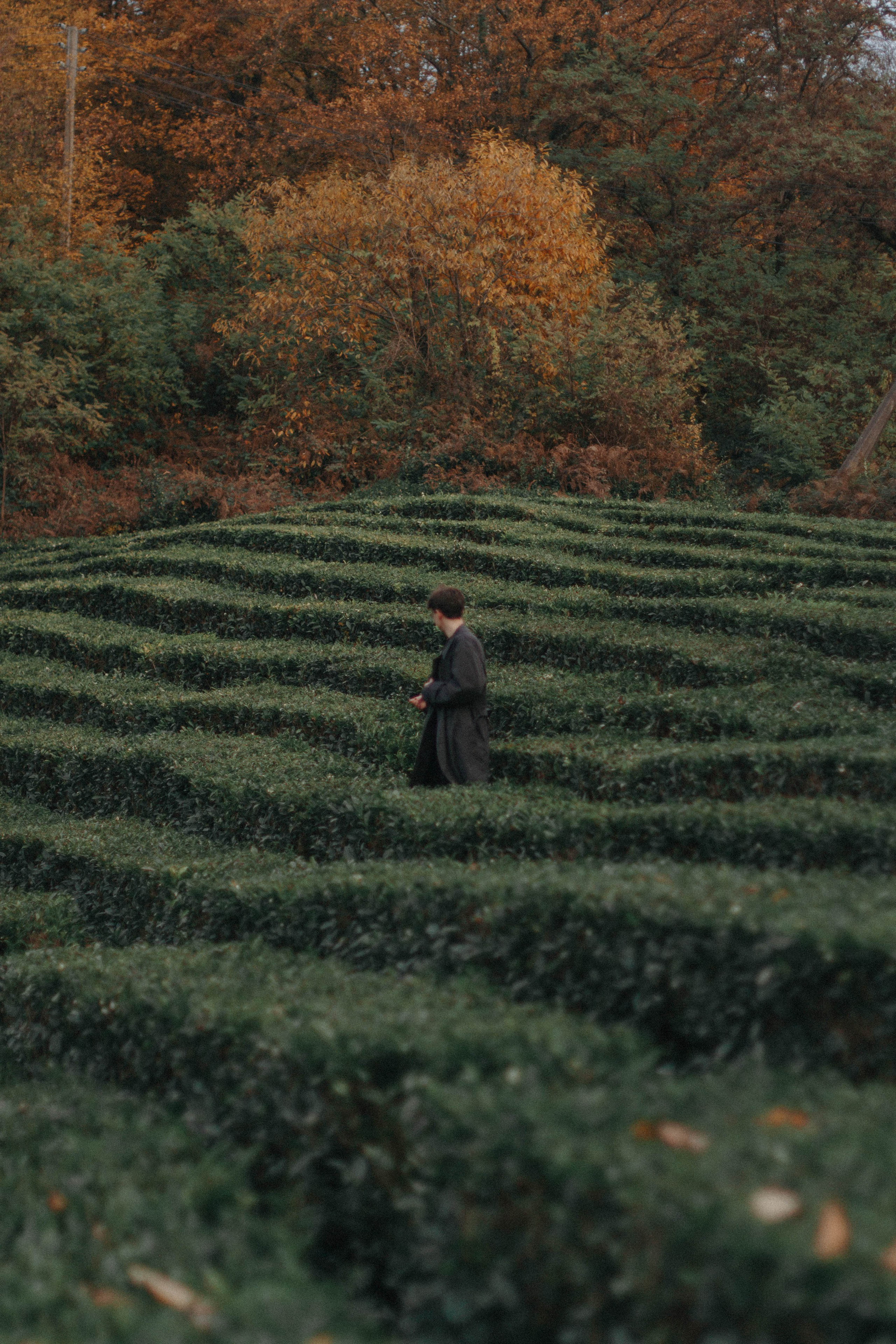 Сева. Фотограф Милованова Александра