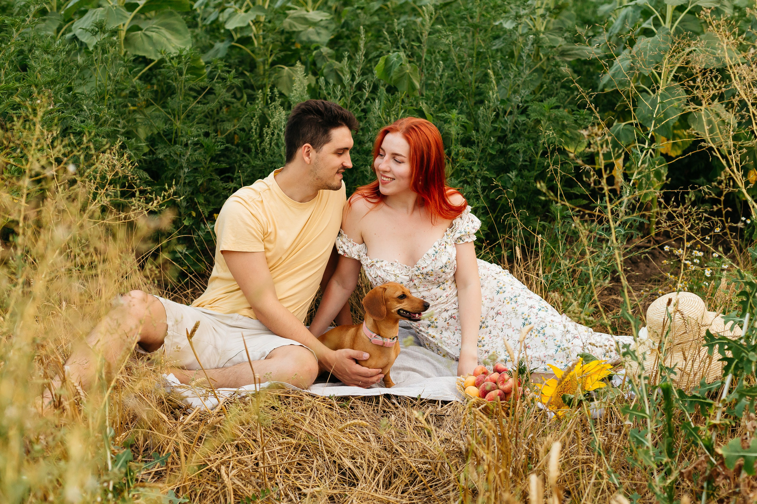 Подсолнухи. Свадебный и семейный фотограф в Краснодаре Илонна Ковалева