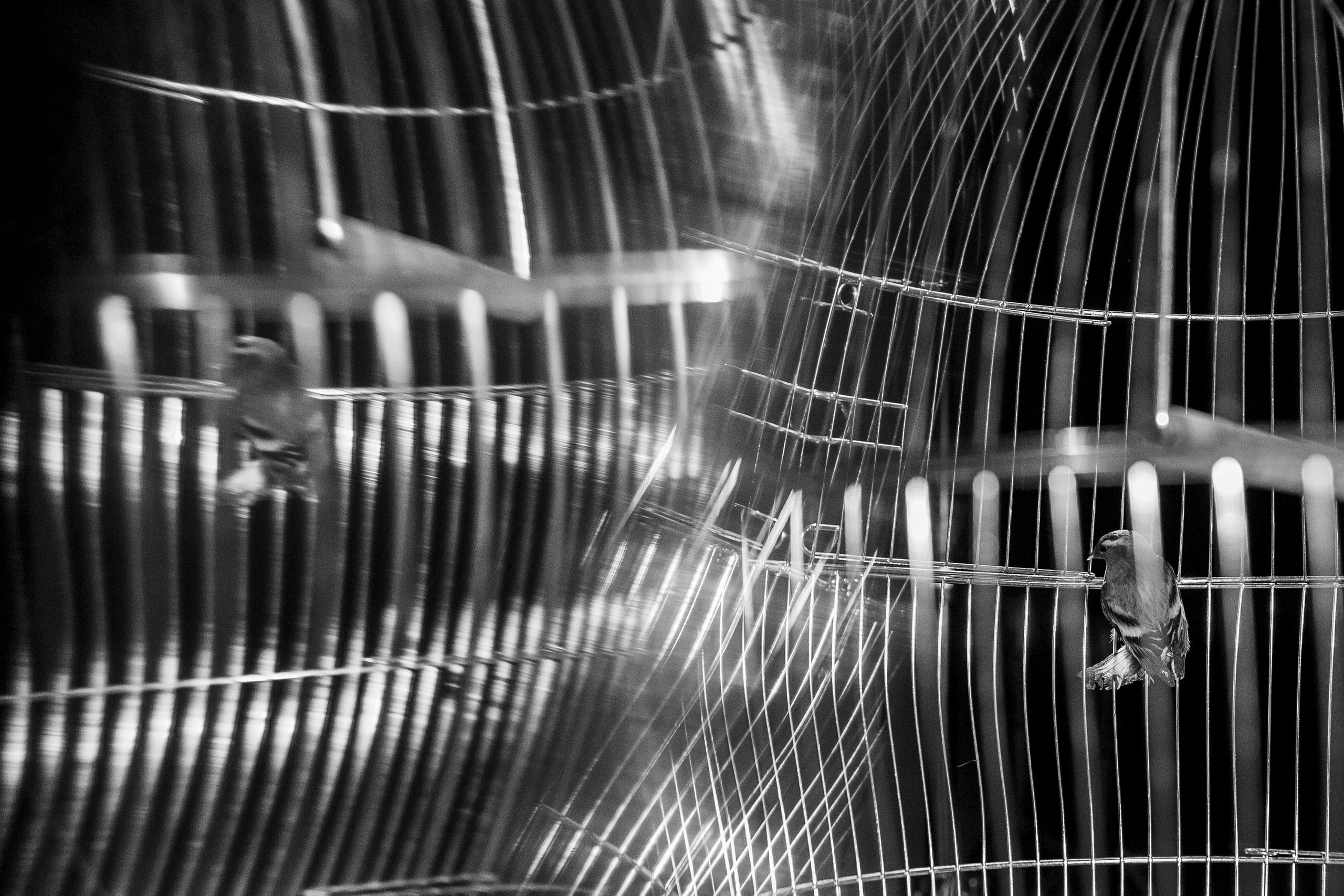 ФК Вахтанг Каландадзе. Ольга Пилант. АРТ, бэкстейдж, свадебная и семейная фотография, городской портрет, интерьерная фотография