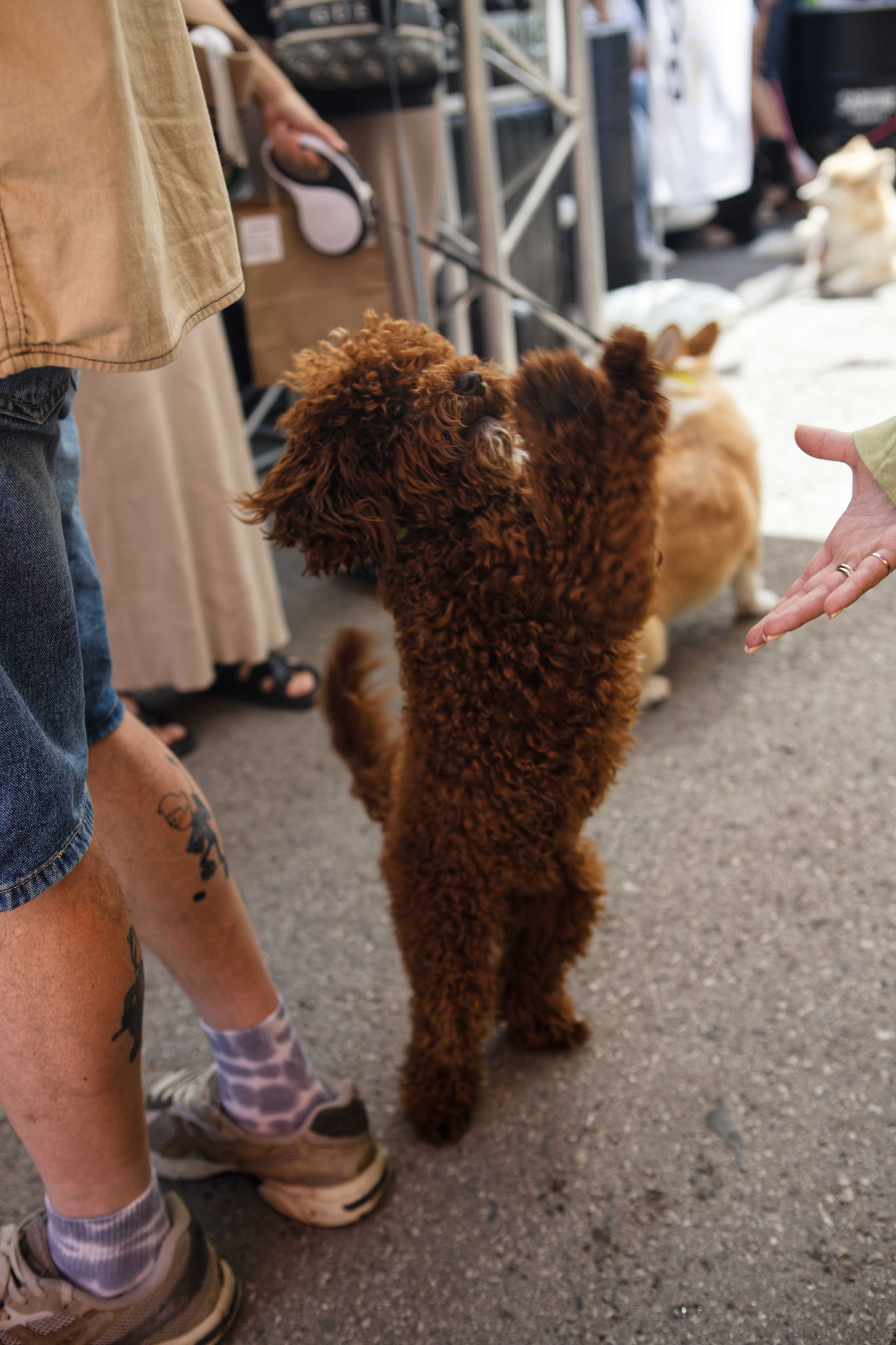 Мир животных. Репортажный и спортивный фотограф в г. Пермь Зильберг Павел