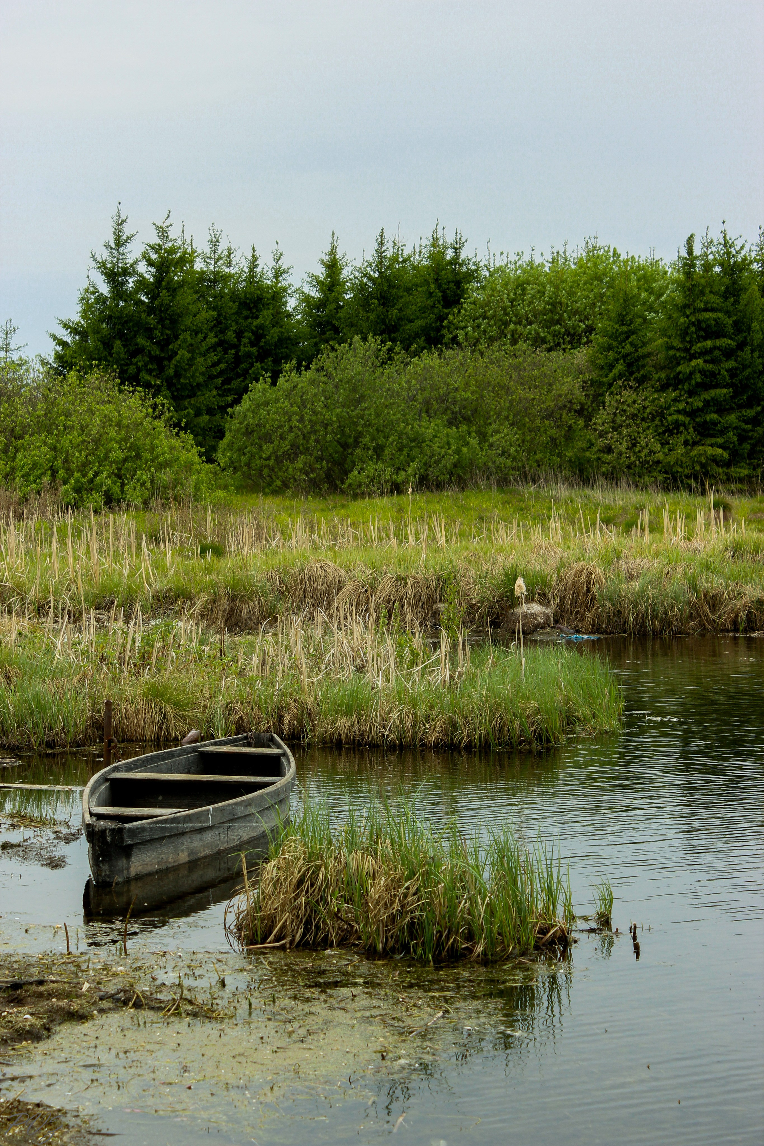 Стрит. Репортажный и спортивный фотограф в г. Пермь Зильберг Павел