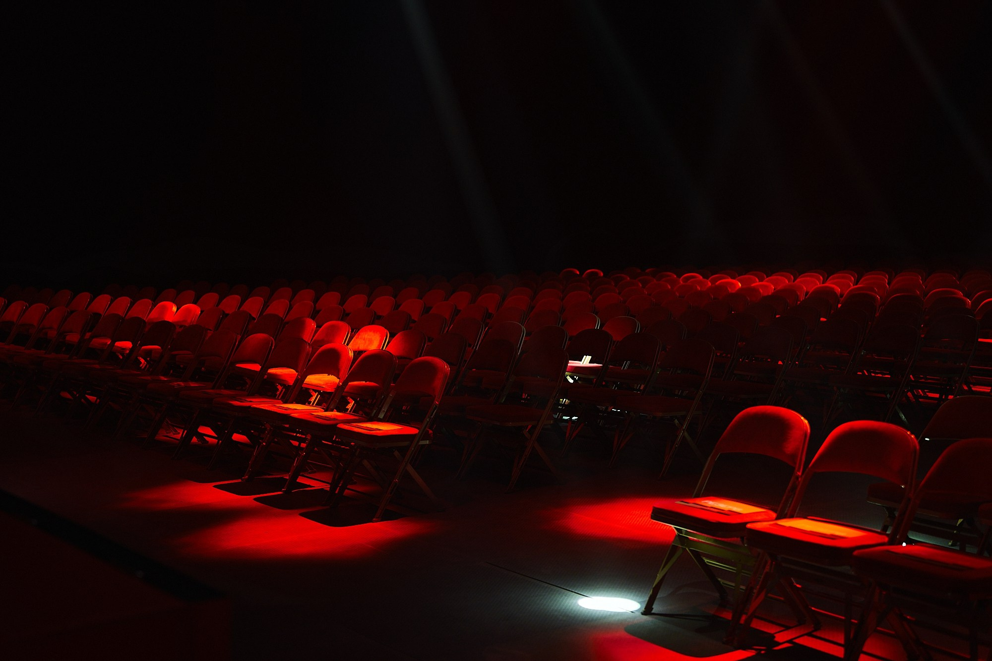 Альфа-Конфа. Фотограф в Хабаровске