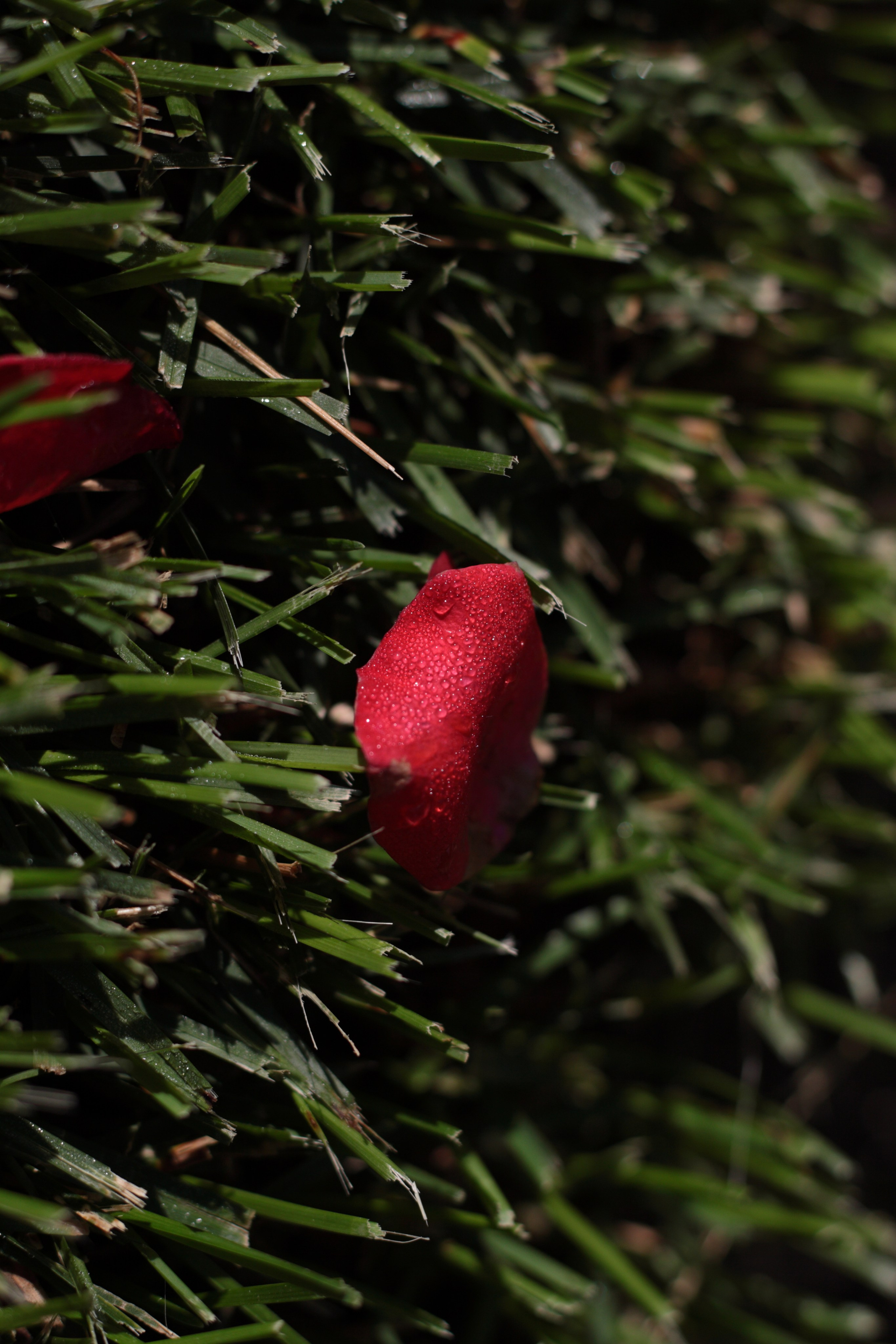 Старое природное, отбирала Katamount (Катерина Горохова). Главная