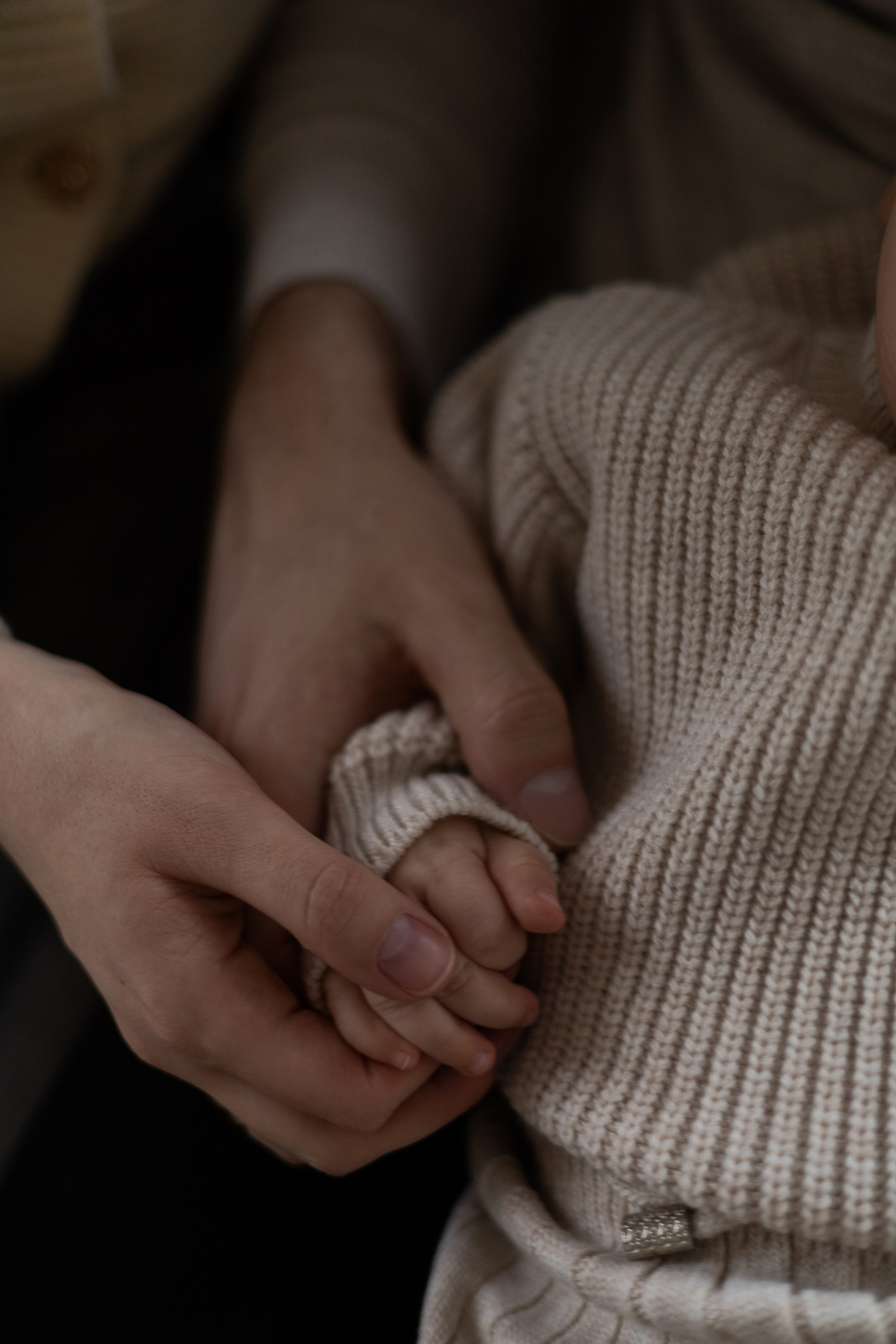 Студийные семейные. Фотограф в Москве Таша Логинова