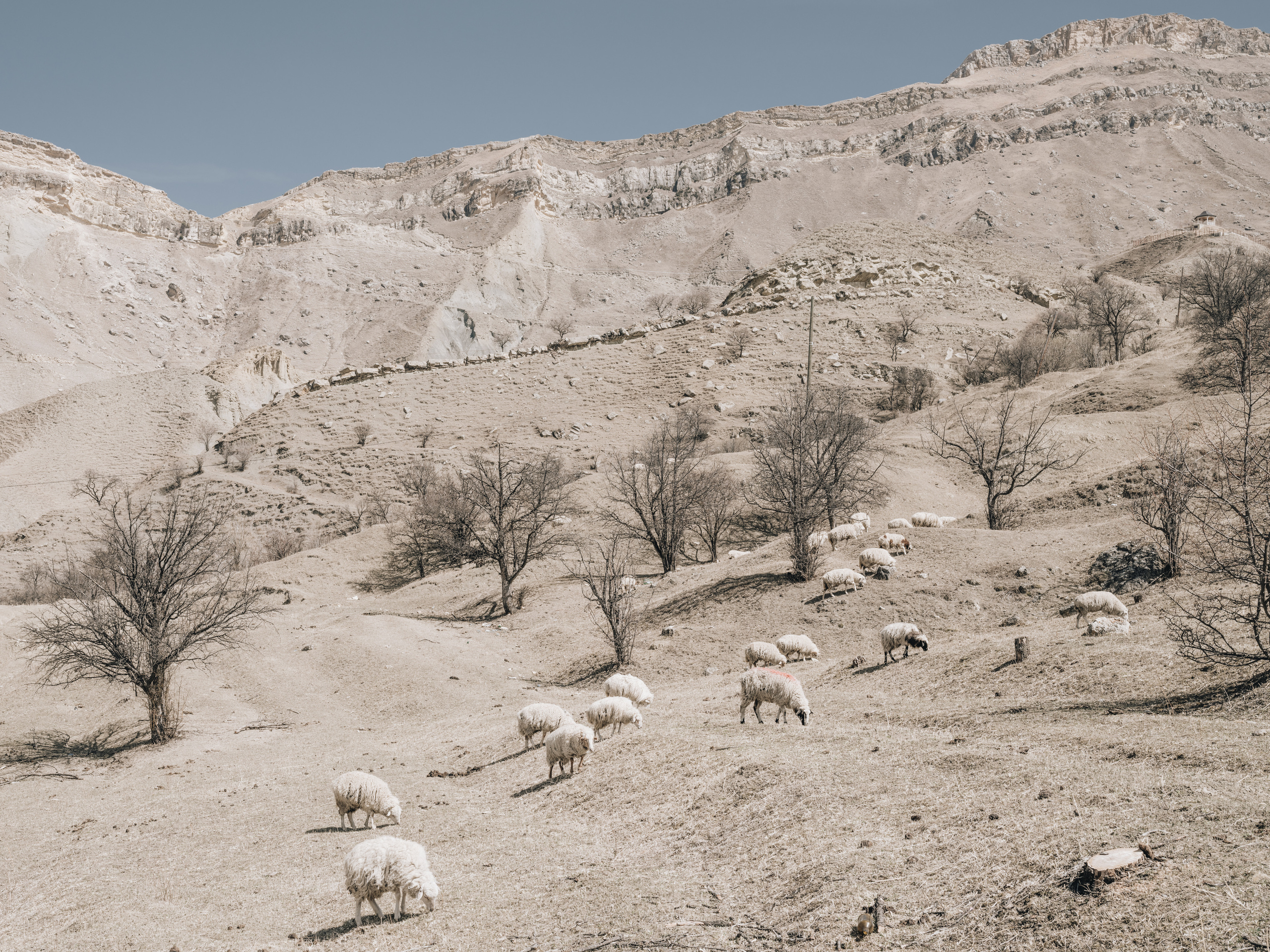 MOUNTAINS. Фотограф Шумков Дмитрий Snm981