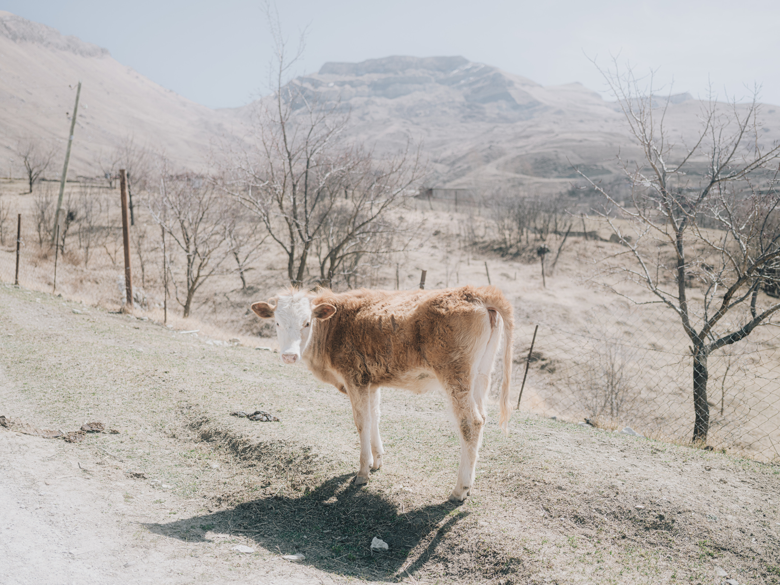 MOUNTAINS. Фотограф Шумков Дмитрий Snm981