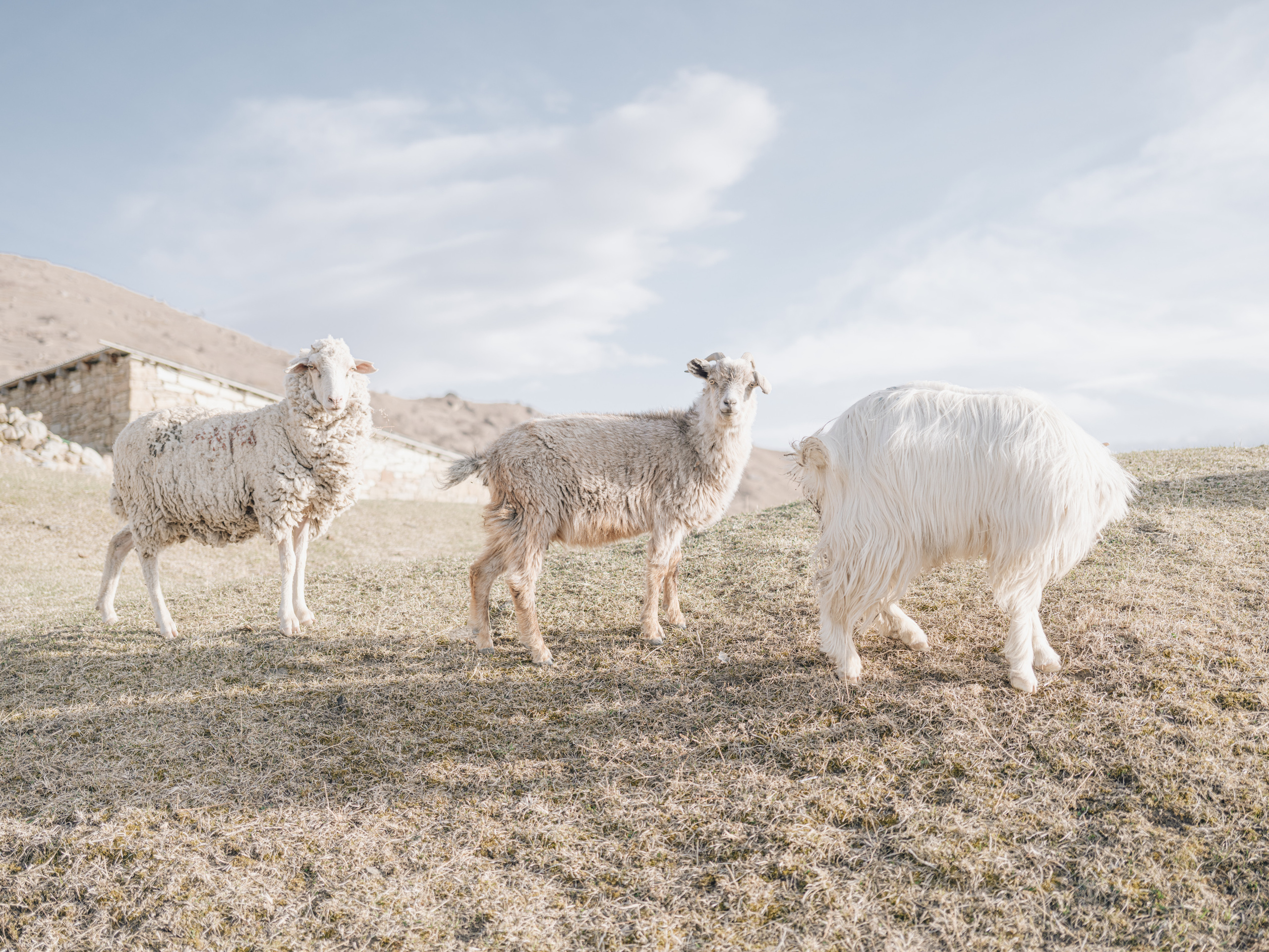 MOUNTAINS. Фотограф Шумков Дмитрий Snm981