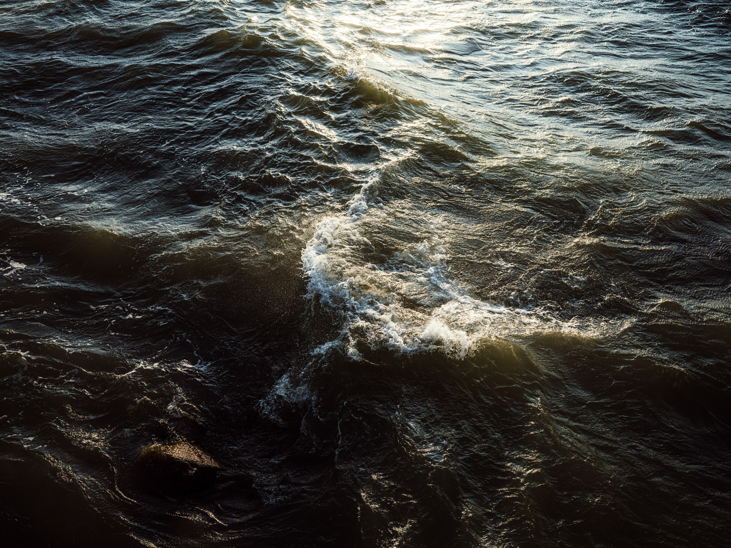 SEA. Фотограф Шумков Дмитрий Snm981