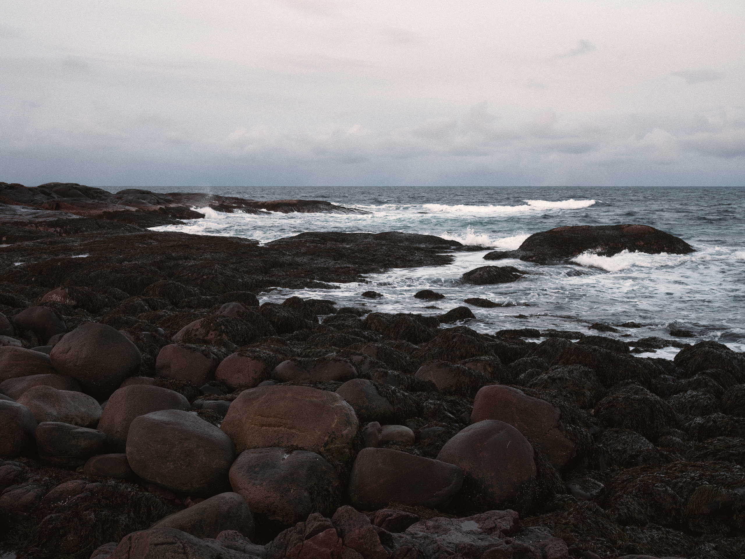 NORTH. Фотограф Шумков Дмитрий Snm981