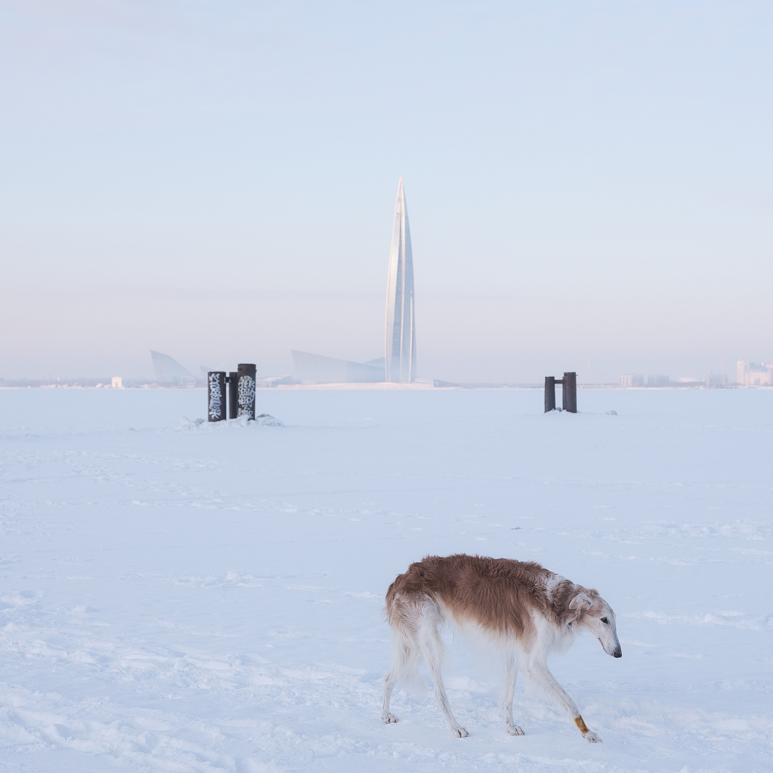 NORTH. Фотограф Шумков Дмитрий Snm981