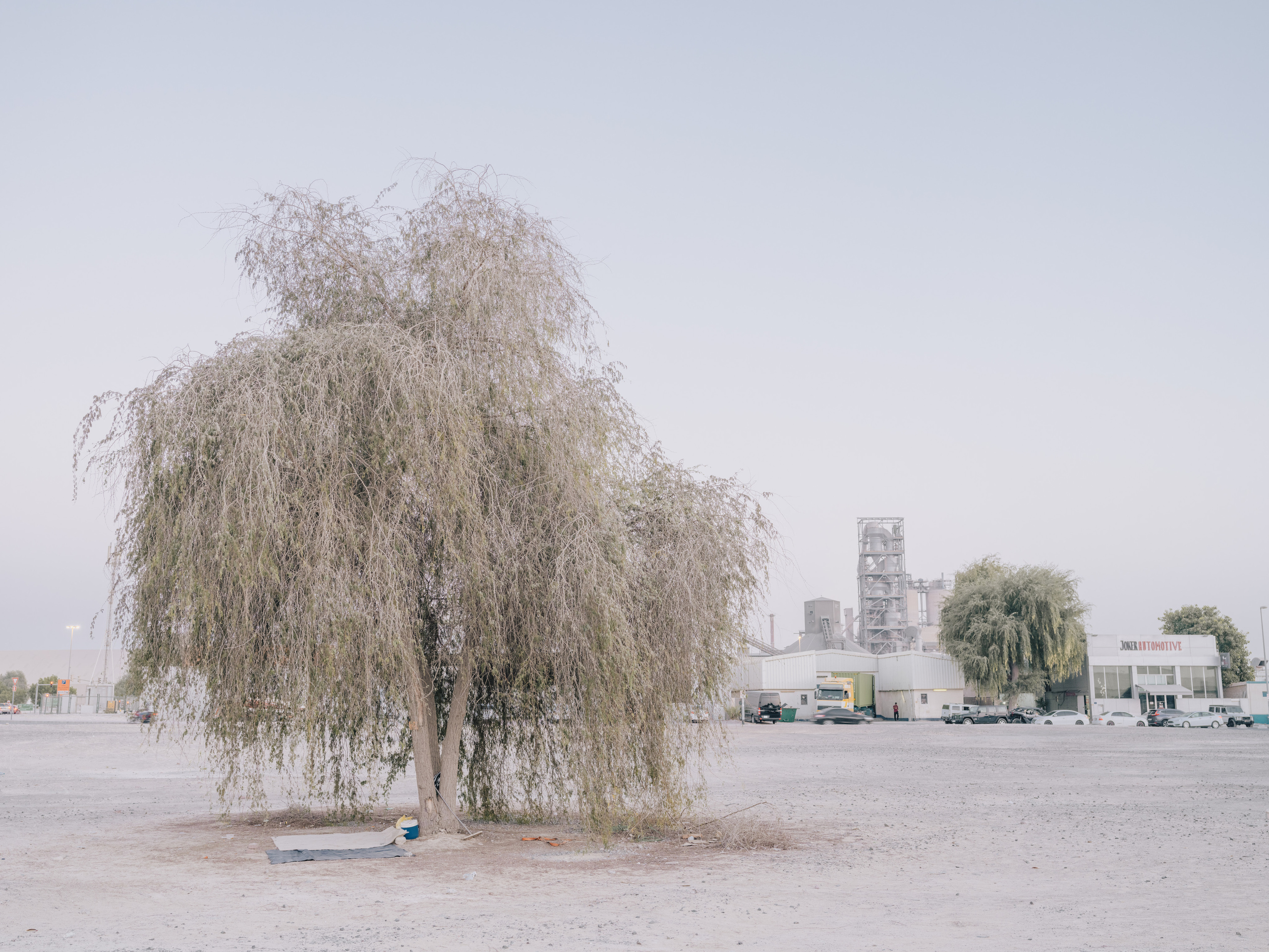 NOWHERE. Фотограф Шумков Дмитрий Snm981