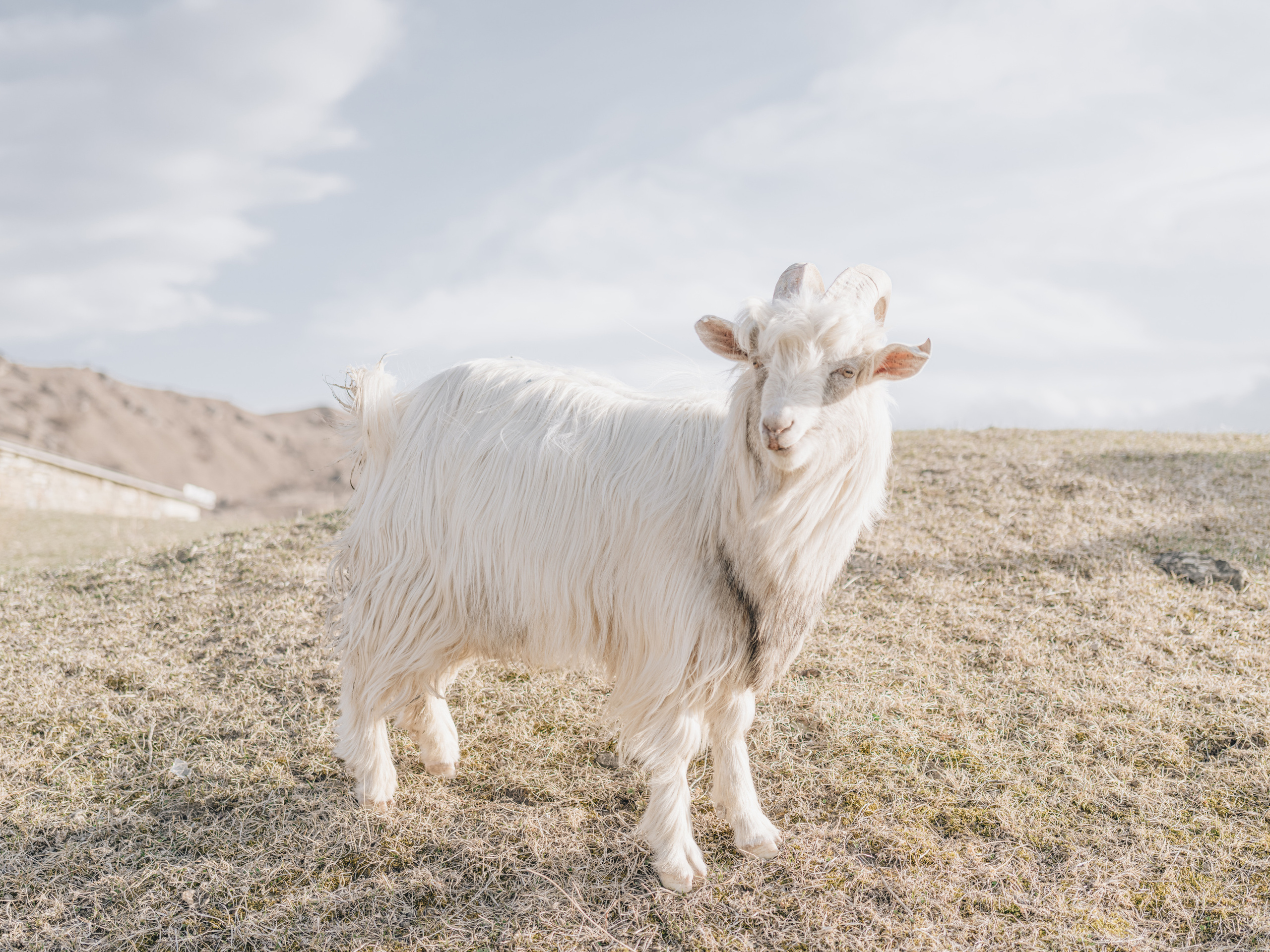 MOUNTAINS. Фотограф Шумков Дмитрий Snm981