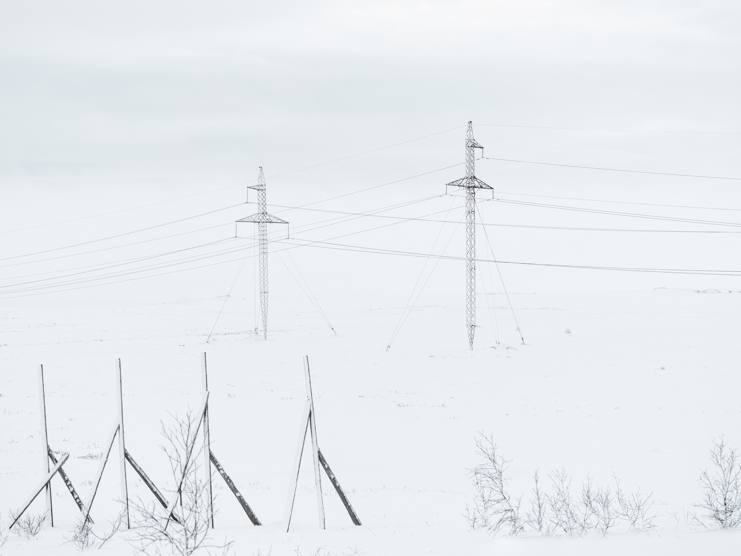 NORTH. Фотограф Шумков Дмитрий Snm981