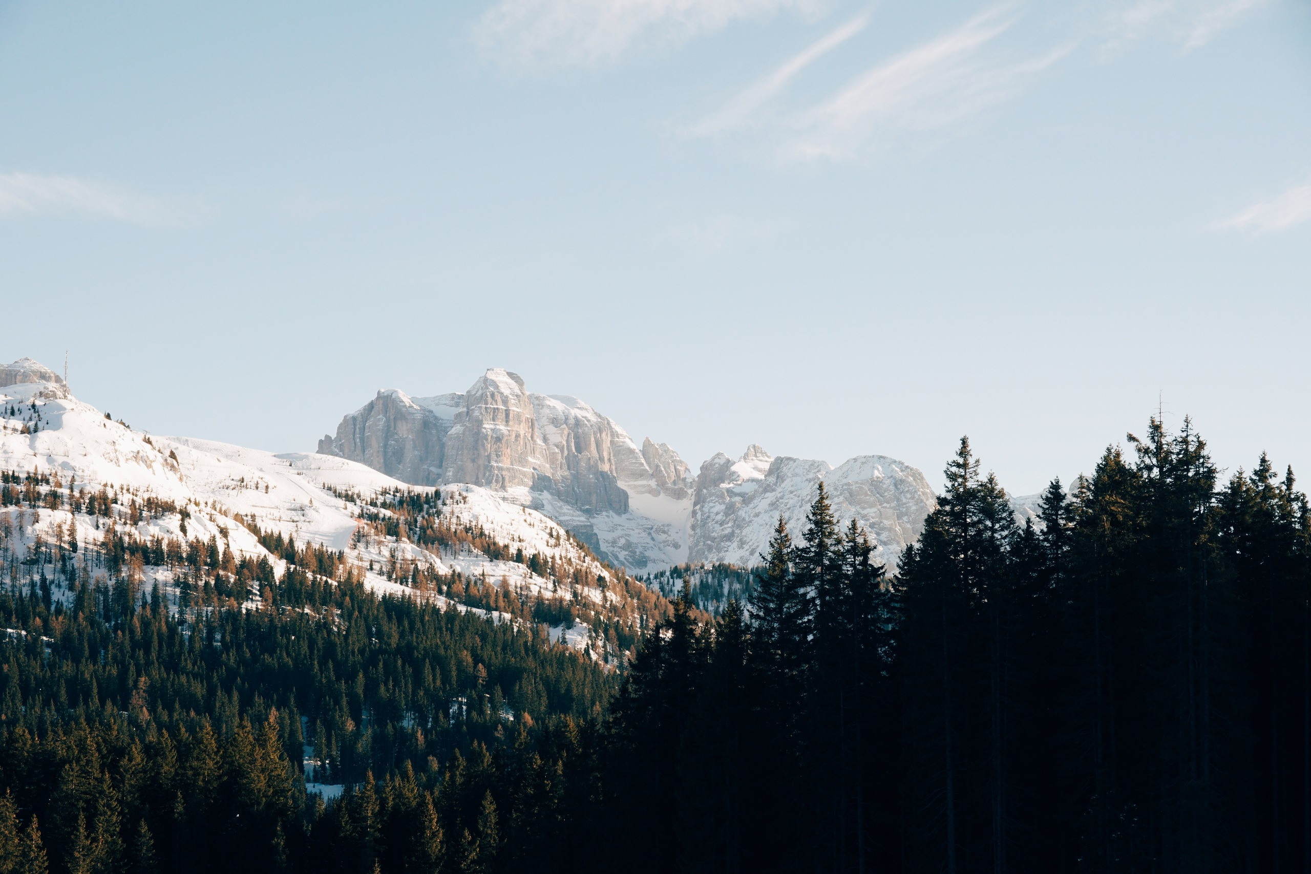 Early works. Фотограф Шумков Дмитрий Snm981