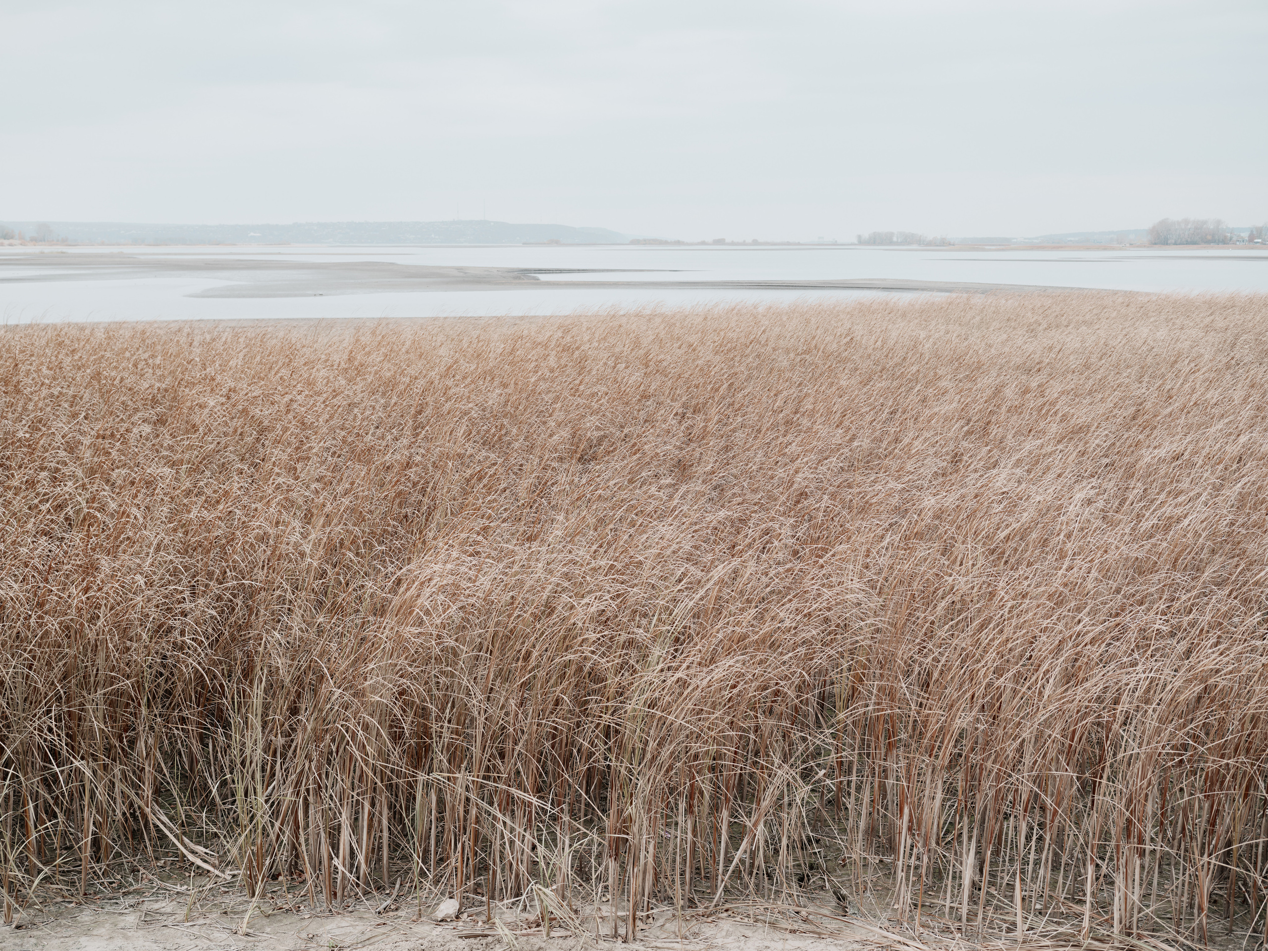 NOWHERE. Фотограф Шумков Дмитрий Snm981