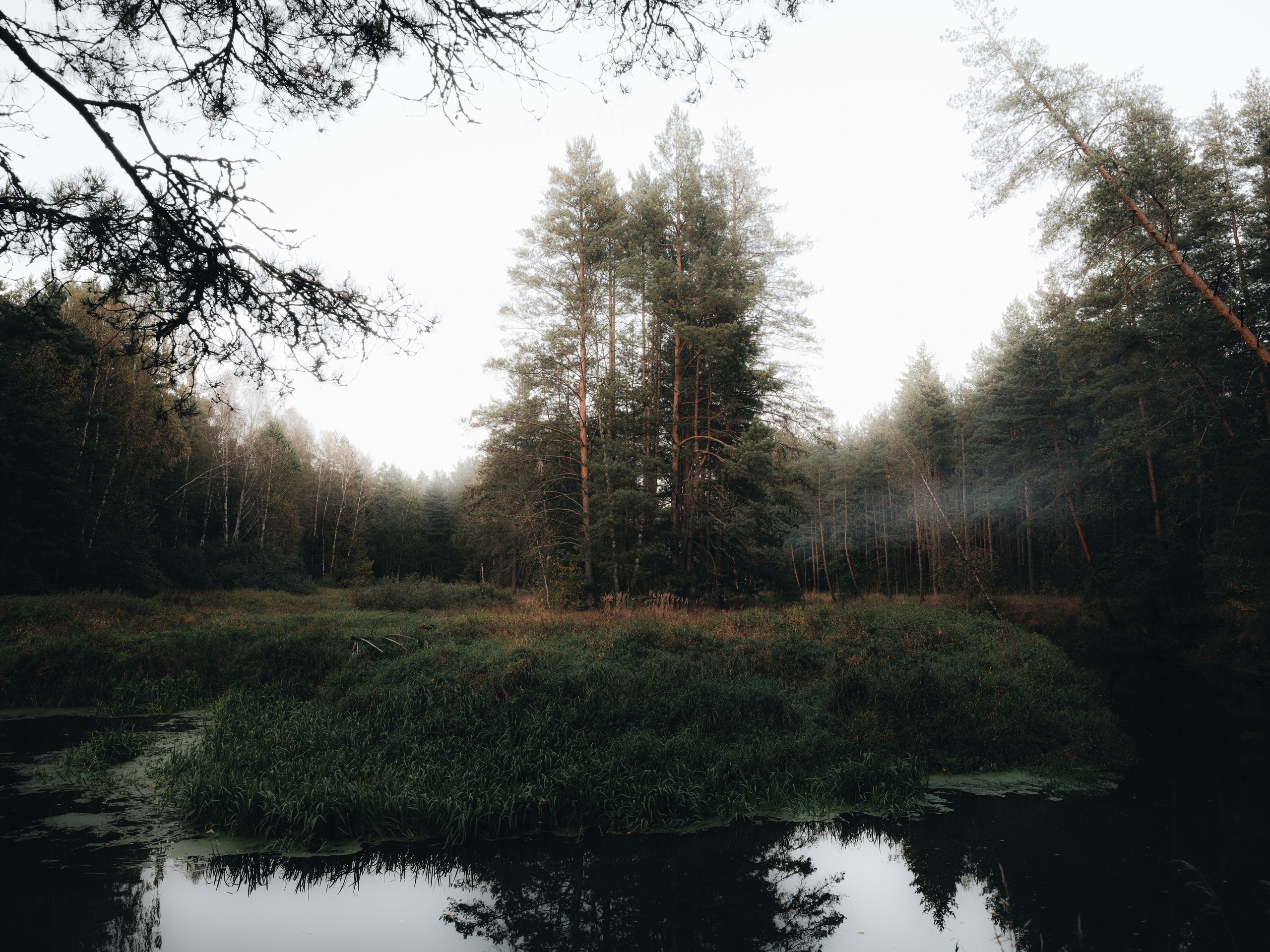 NOWHERE. Фотограф Шумков Дмитрий Snm981