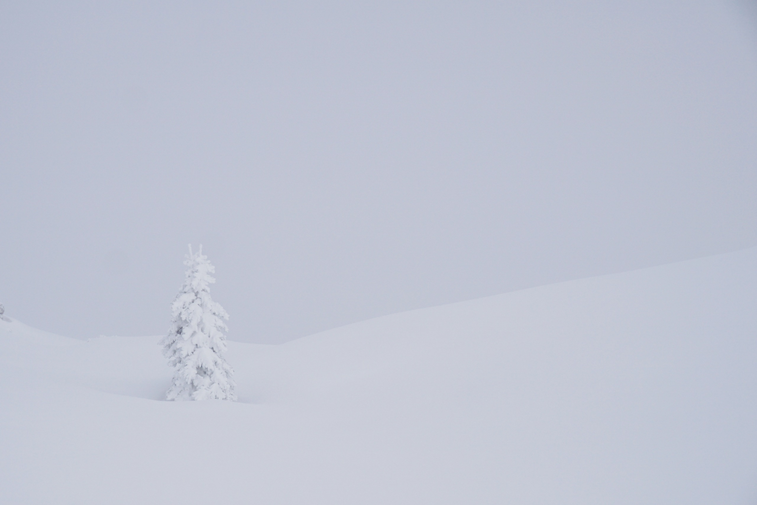 MOUNTAINS. Фотограф Шумков Дмитрий Snm981