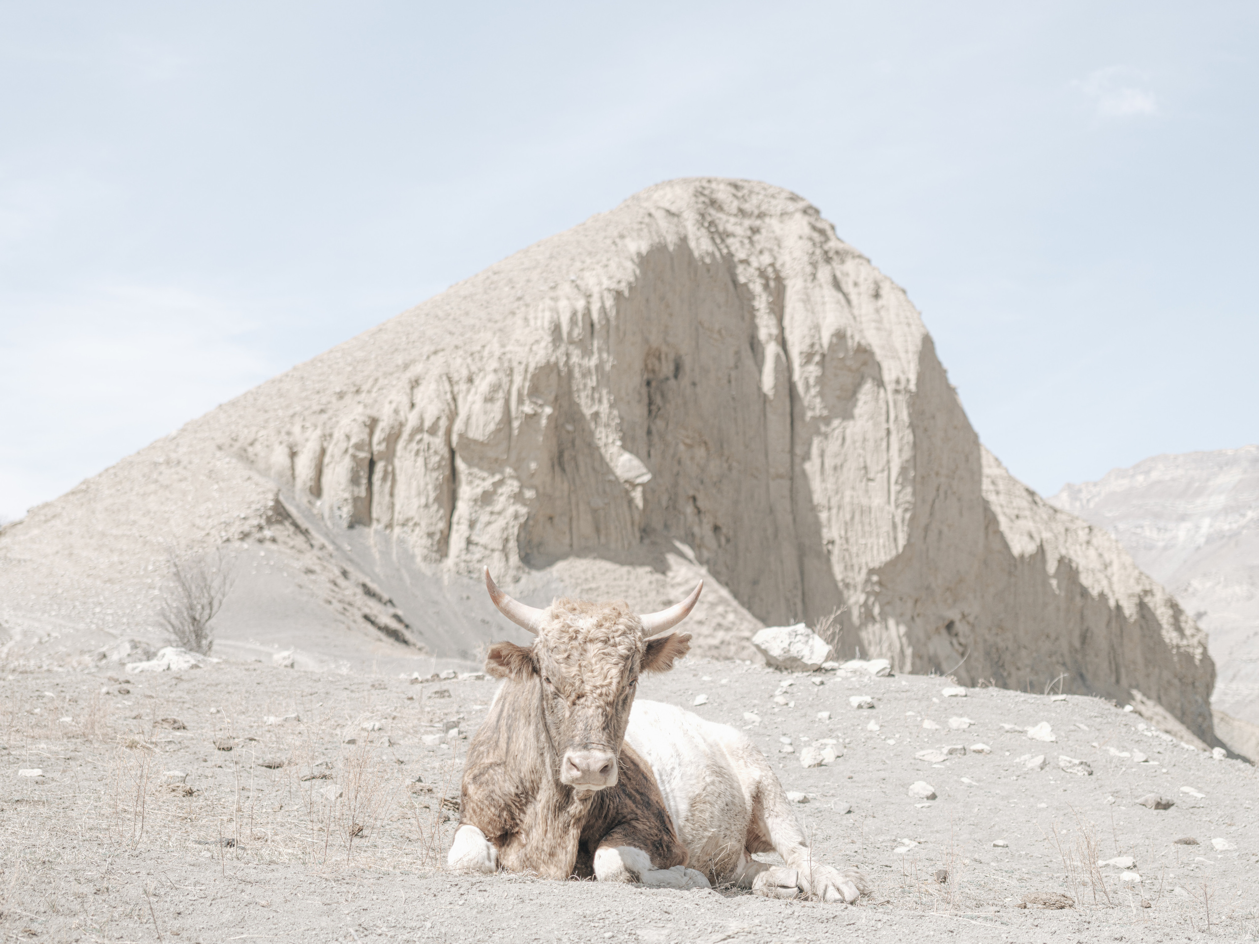 MOUNTAINS. Фотограф Шумков Дмитрий Snm981