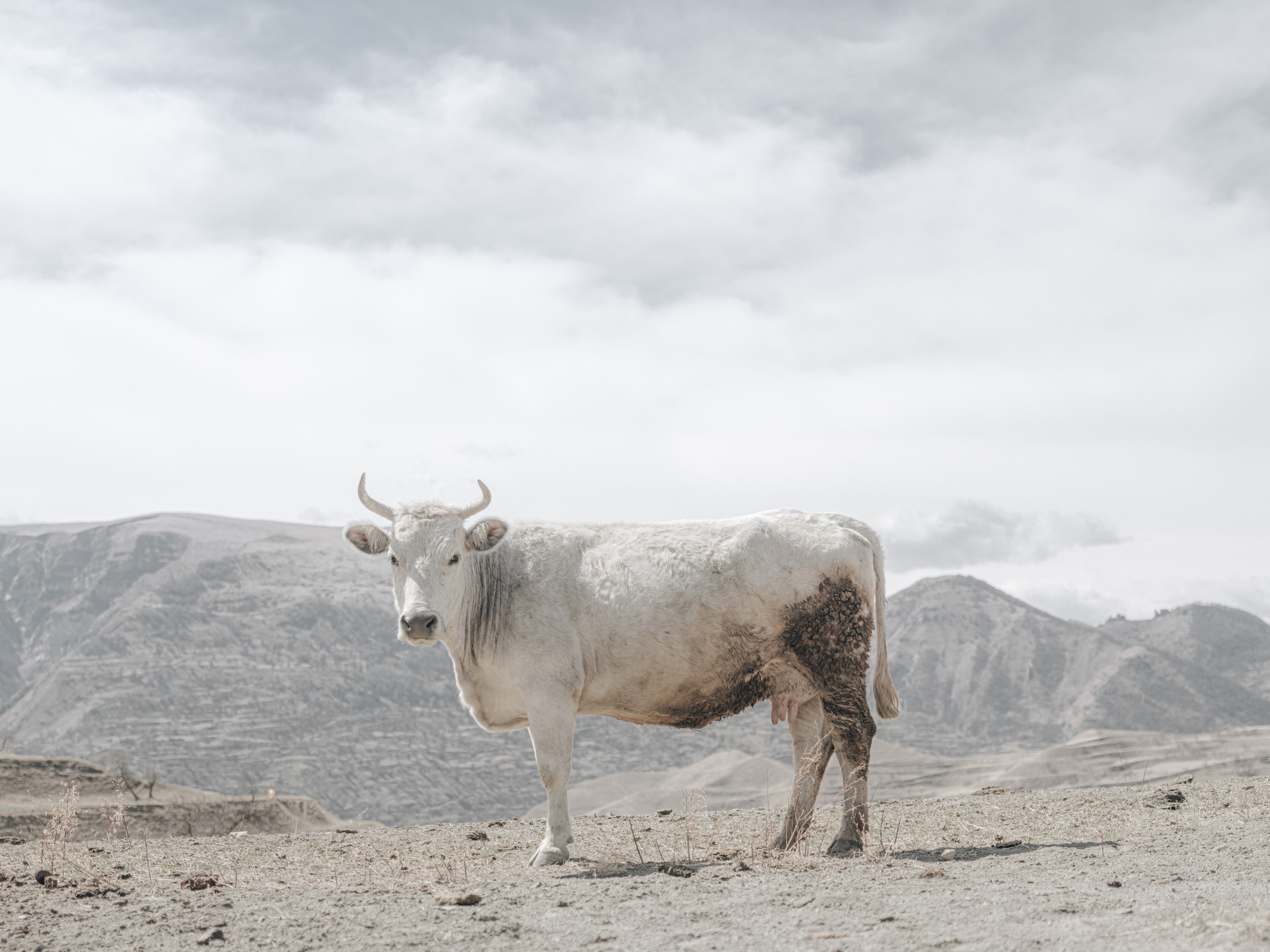 MOUNTAINS. Фотограф Шумков Дмитрий Snm981