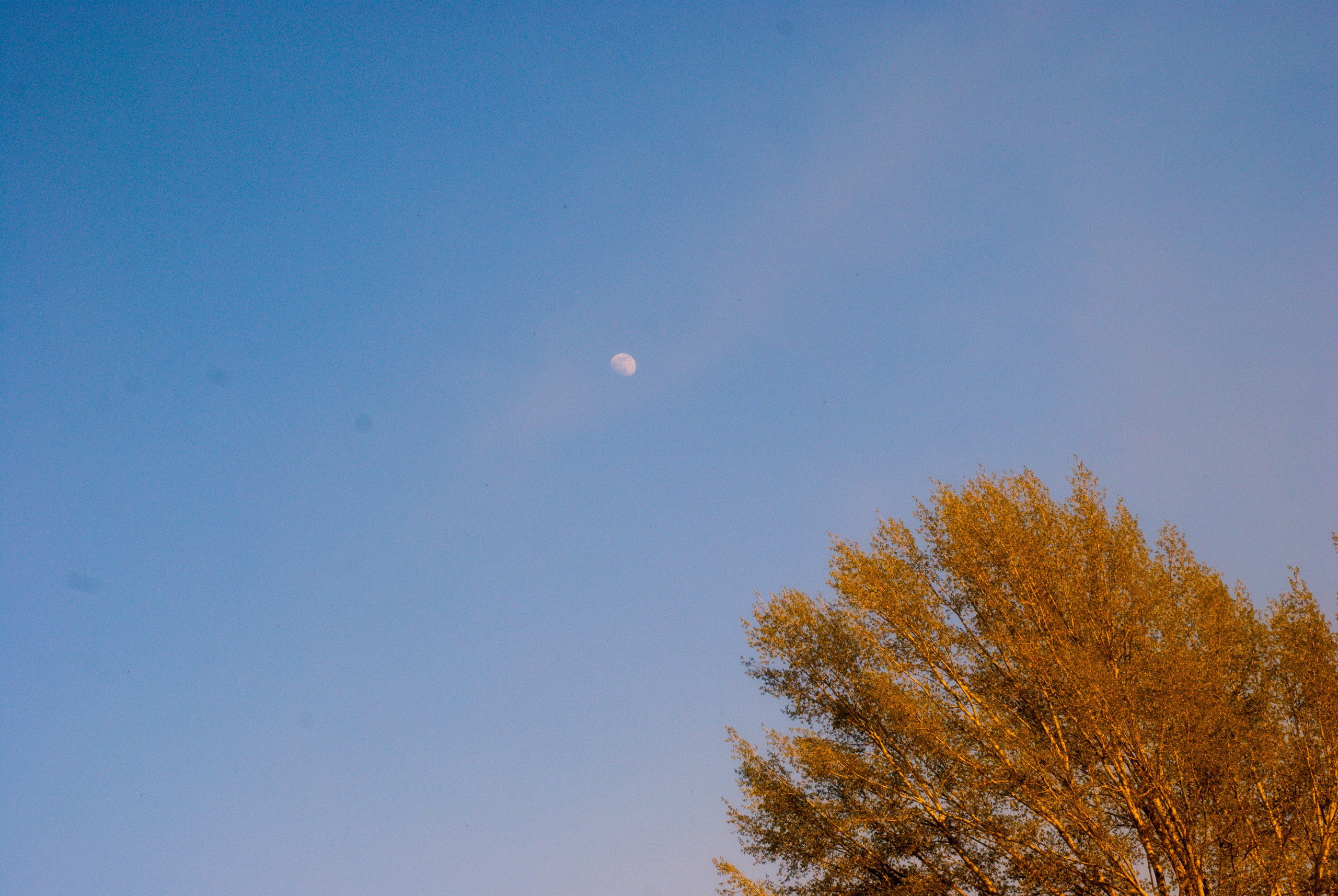 Этот прекрасный мир