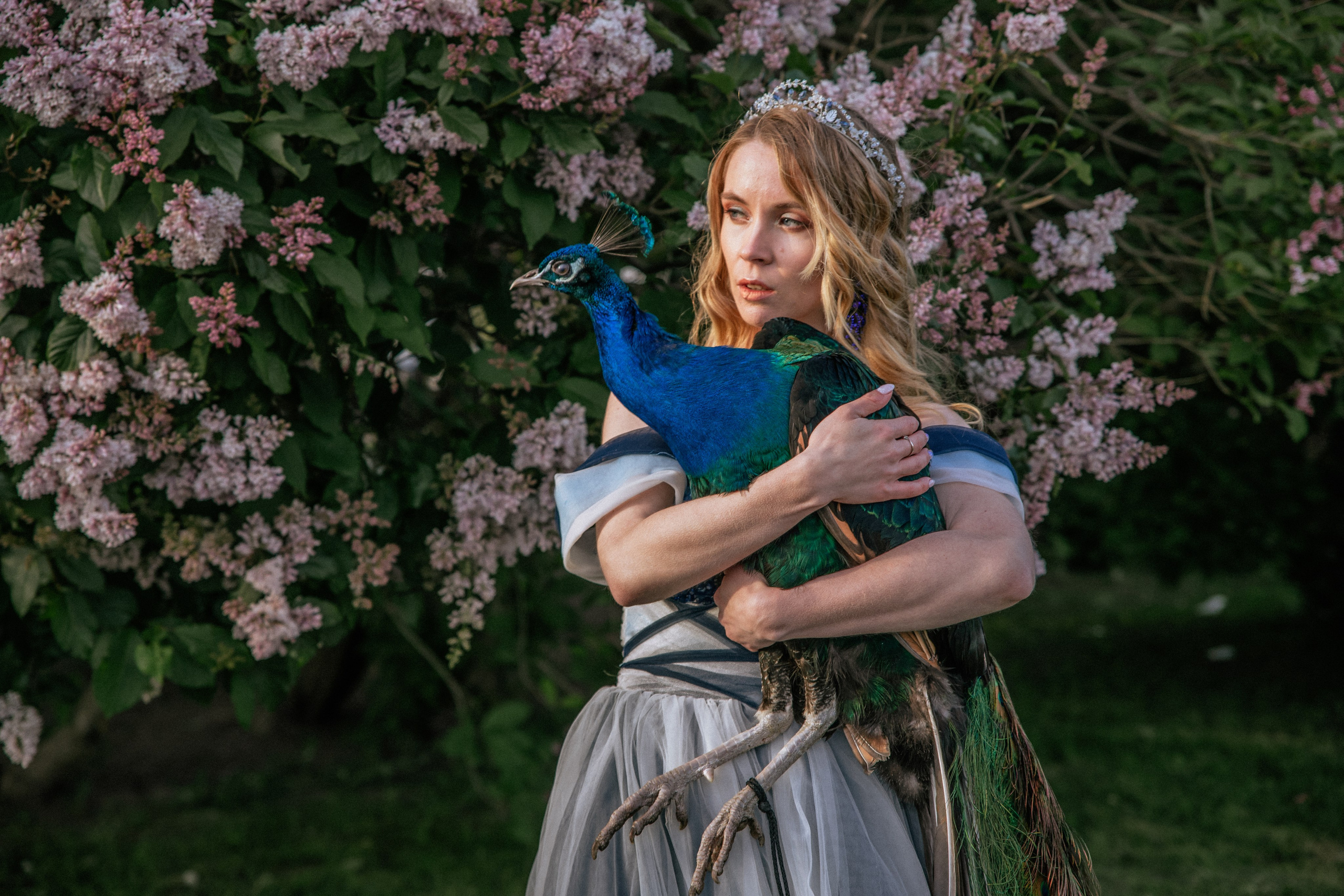 Павлин. Elena Sova — семейный и женский фотограф в Санкт-Петербурге