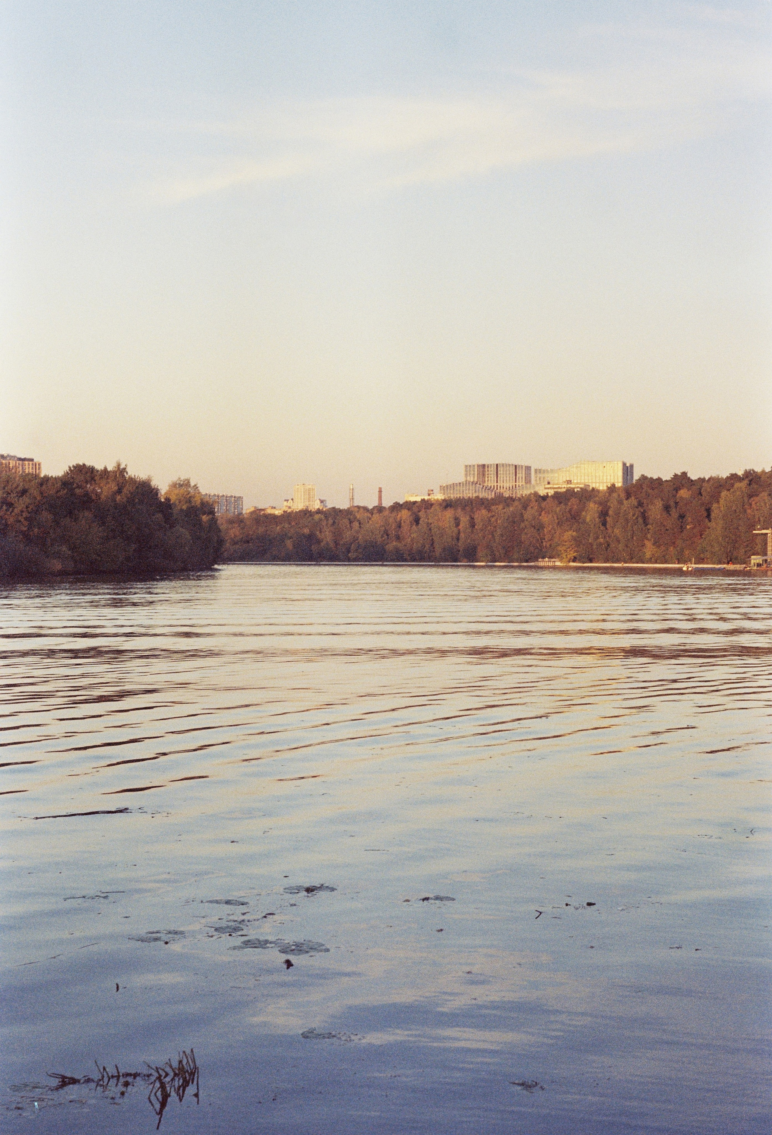Съёмка на цветную фотопленку. Фотограф в Санкт-Петербурге и Москве Наталья Милли